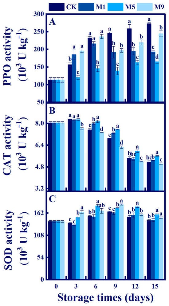 Foods | Free Full-Text | Screening of Lactiplantibacillus 