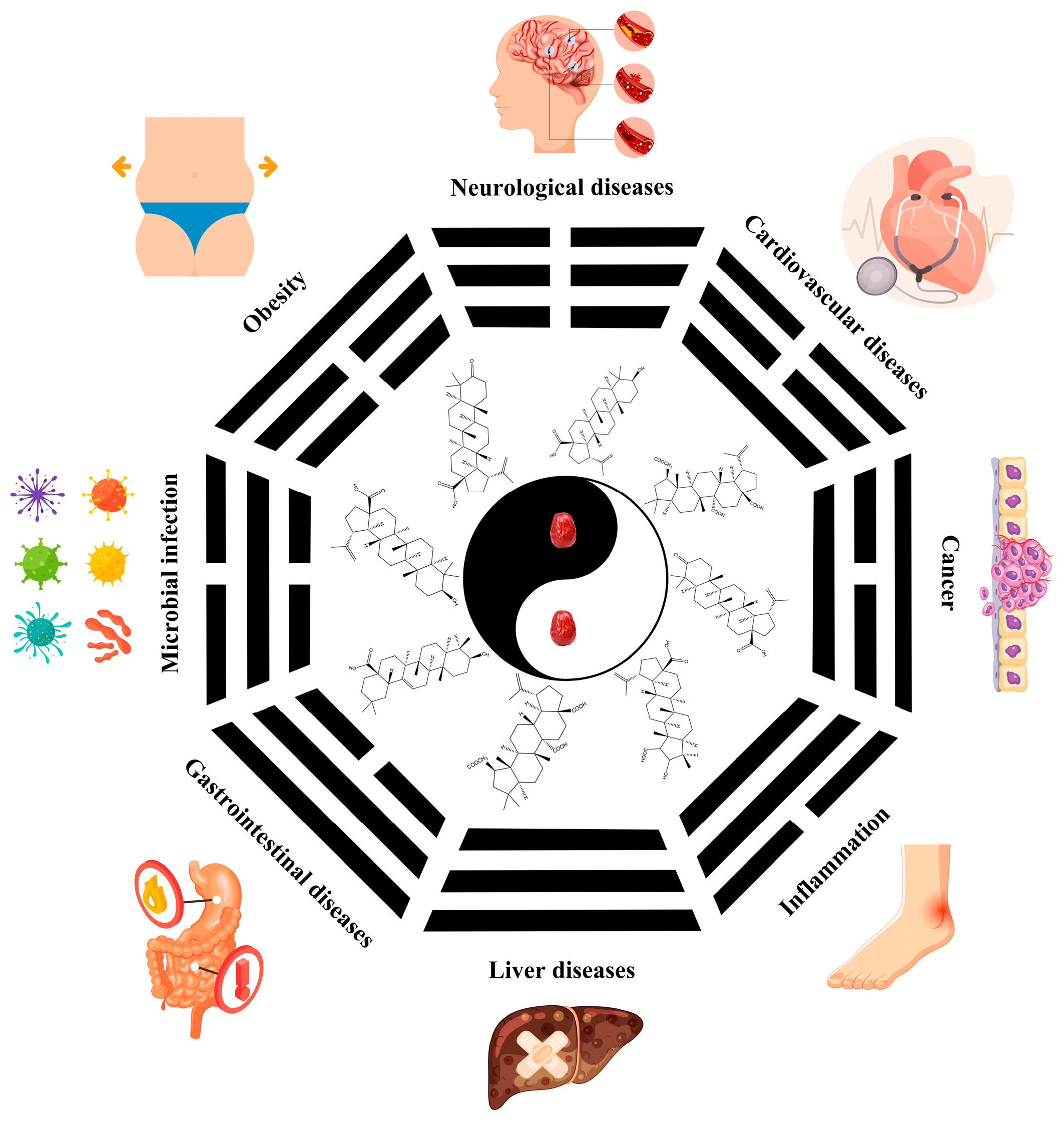 Foods 13 00193 g002 Foods 13 00193 g002