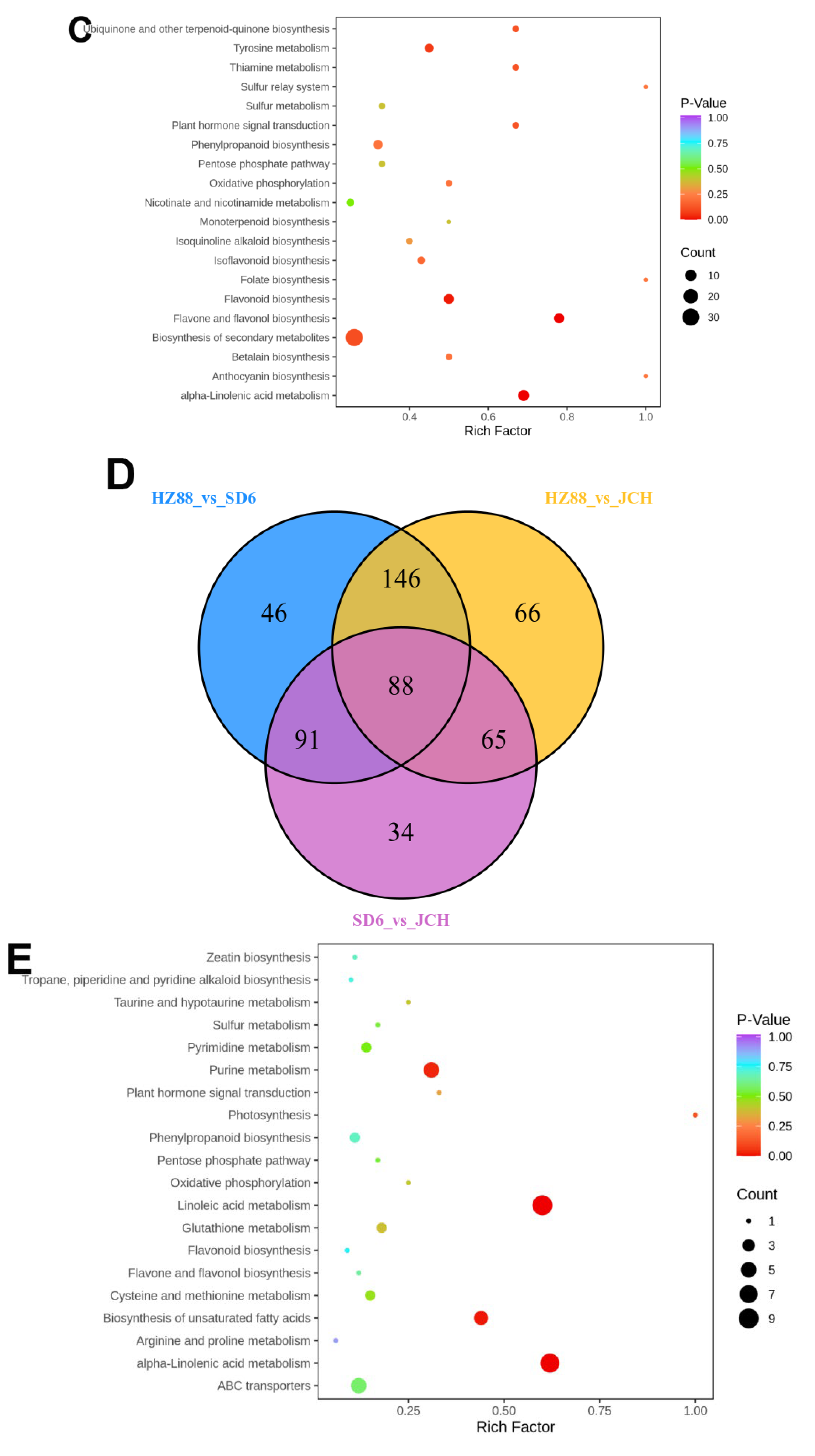Foods 13 00308 g005b
