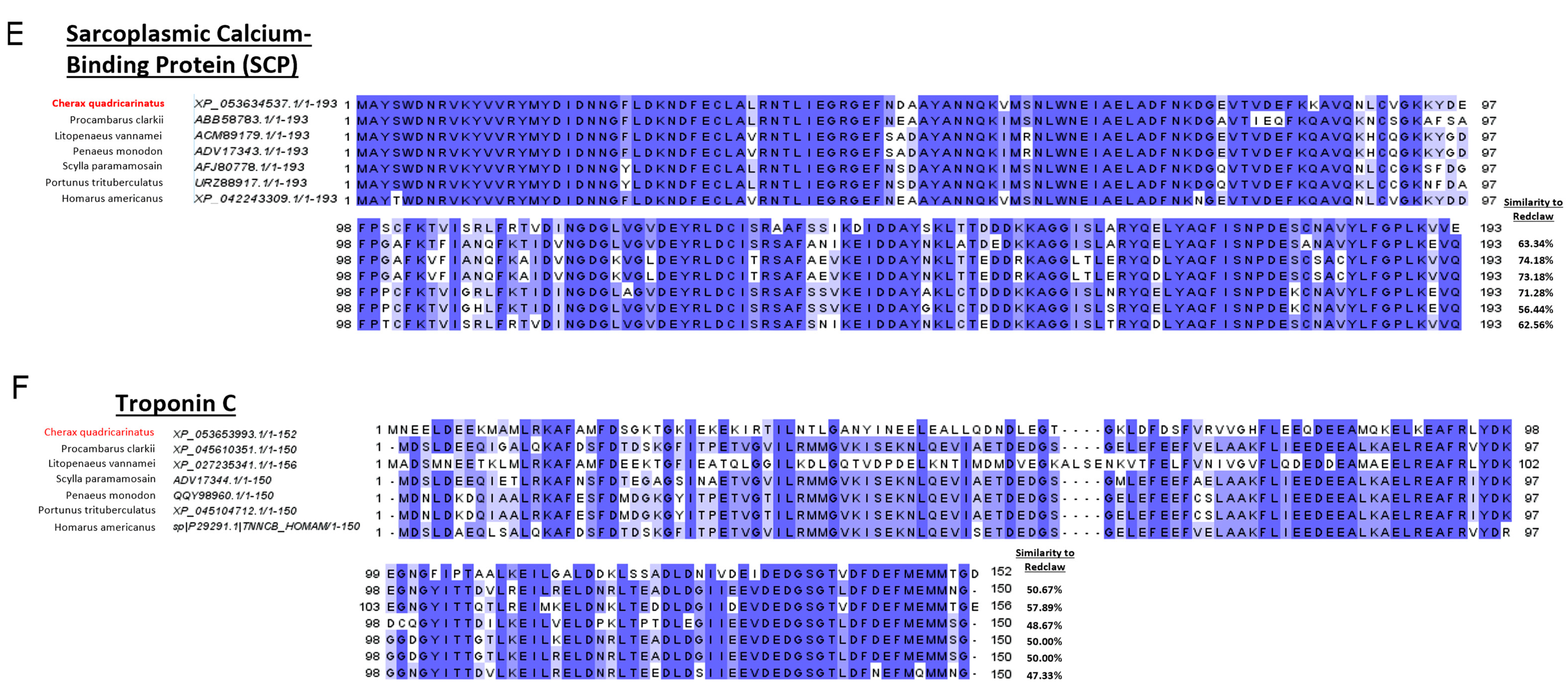 Molecular Characterization and Cross-Allergenicity of Tropomyosin from  Freshwater Crustaceans