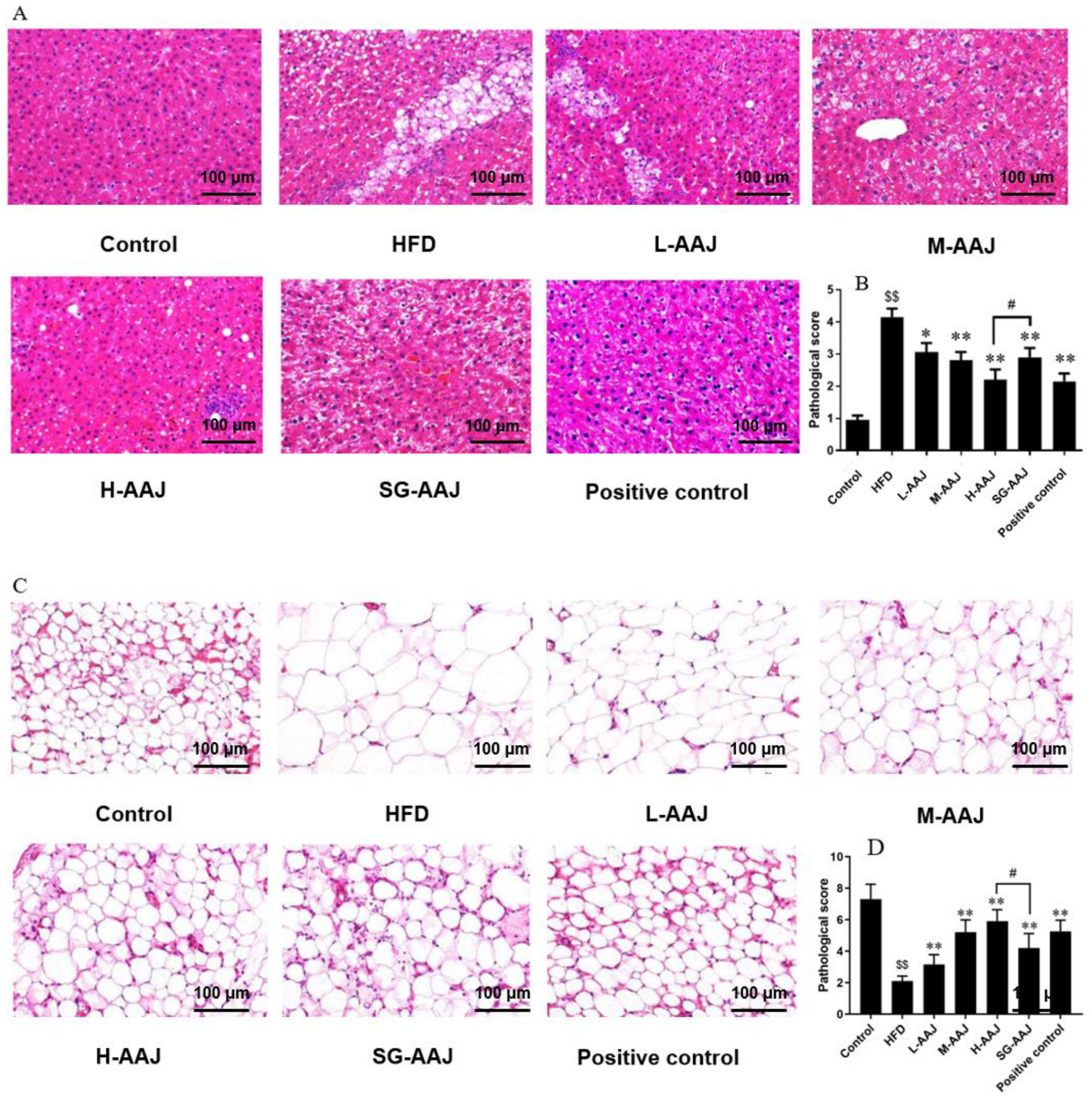 Foods 13 00406 g004a