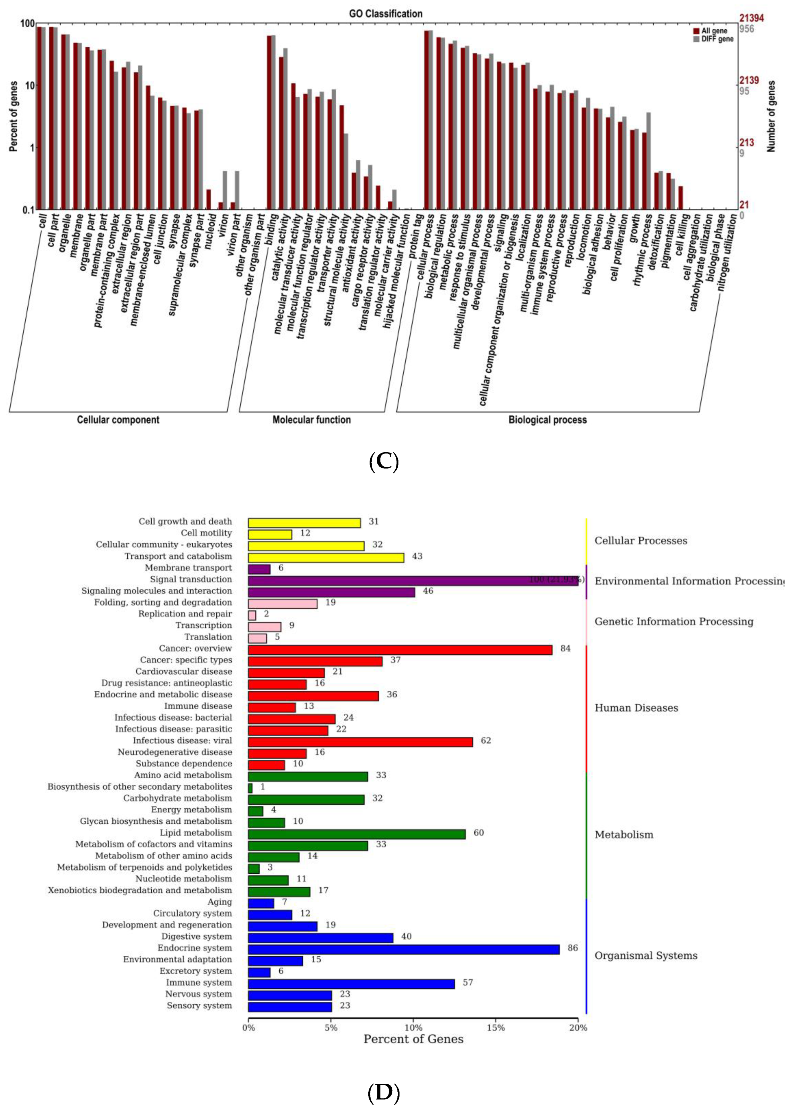 Foods 13 00406 g006b