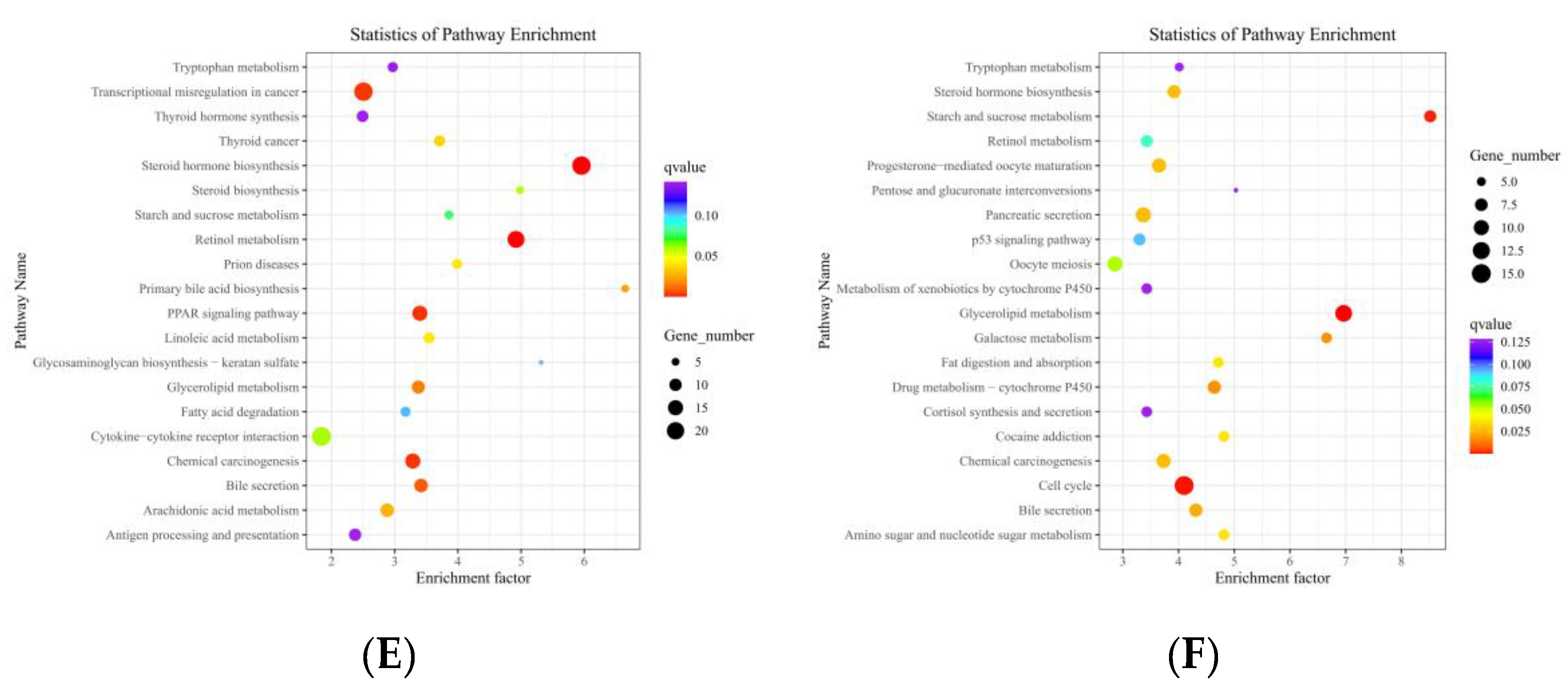 Foods 13 00406 g006c