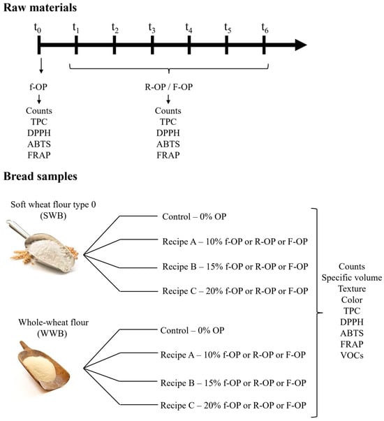 Foods Free Full Text Exploitation of Black Olive Olea