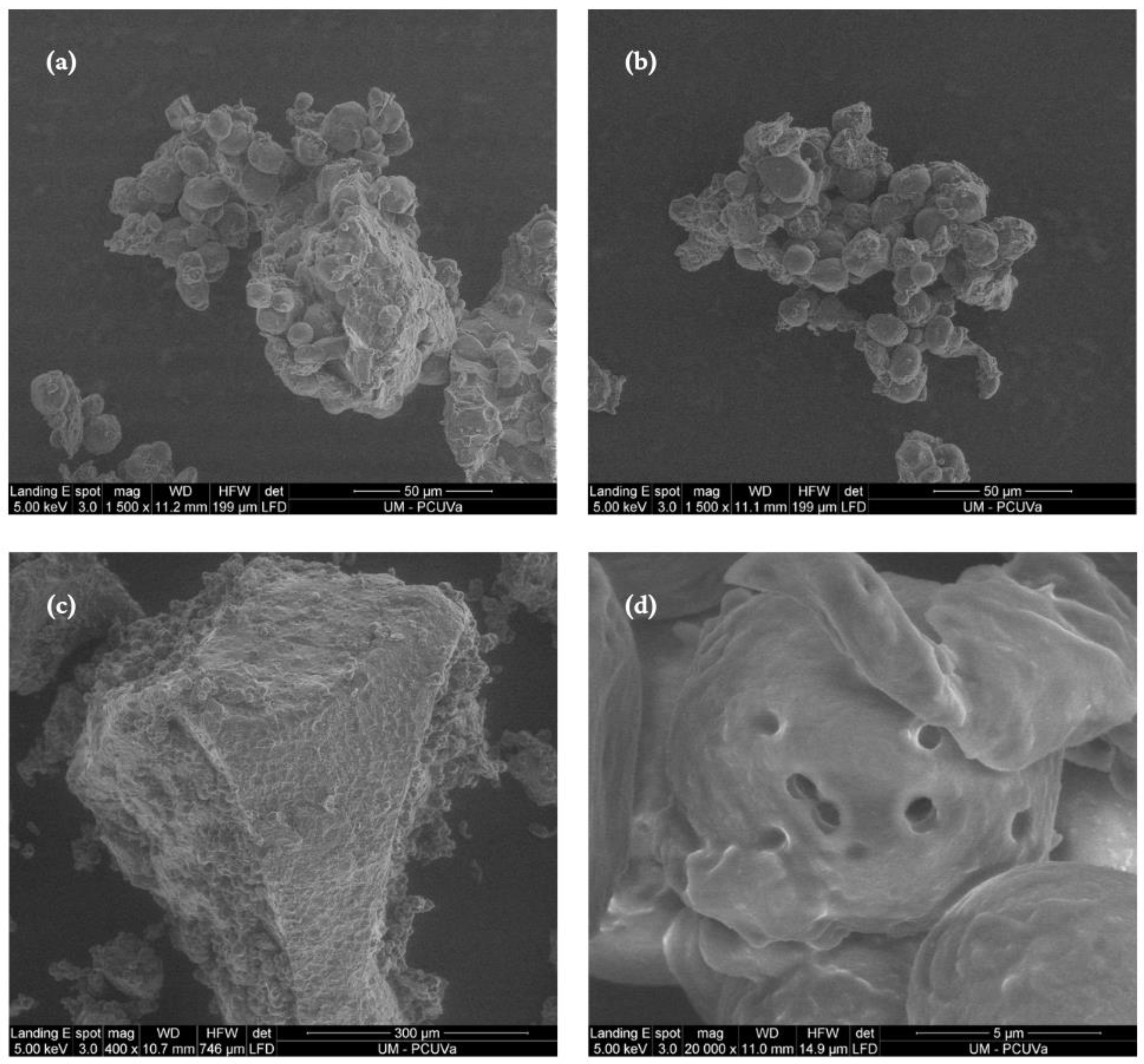 Foods 13 00491 g002 Foods 13 00491 g002