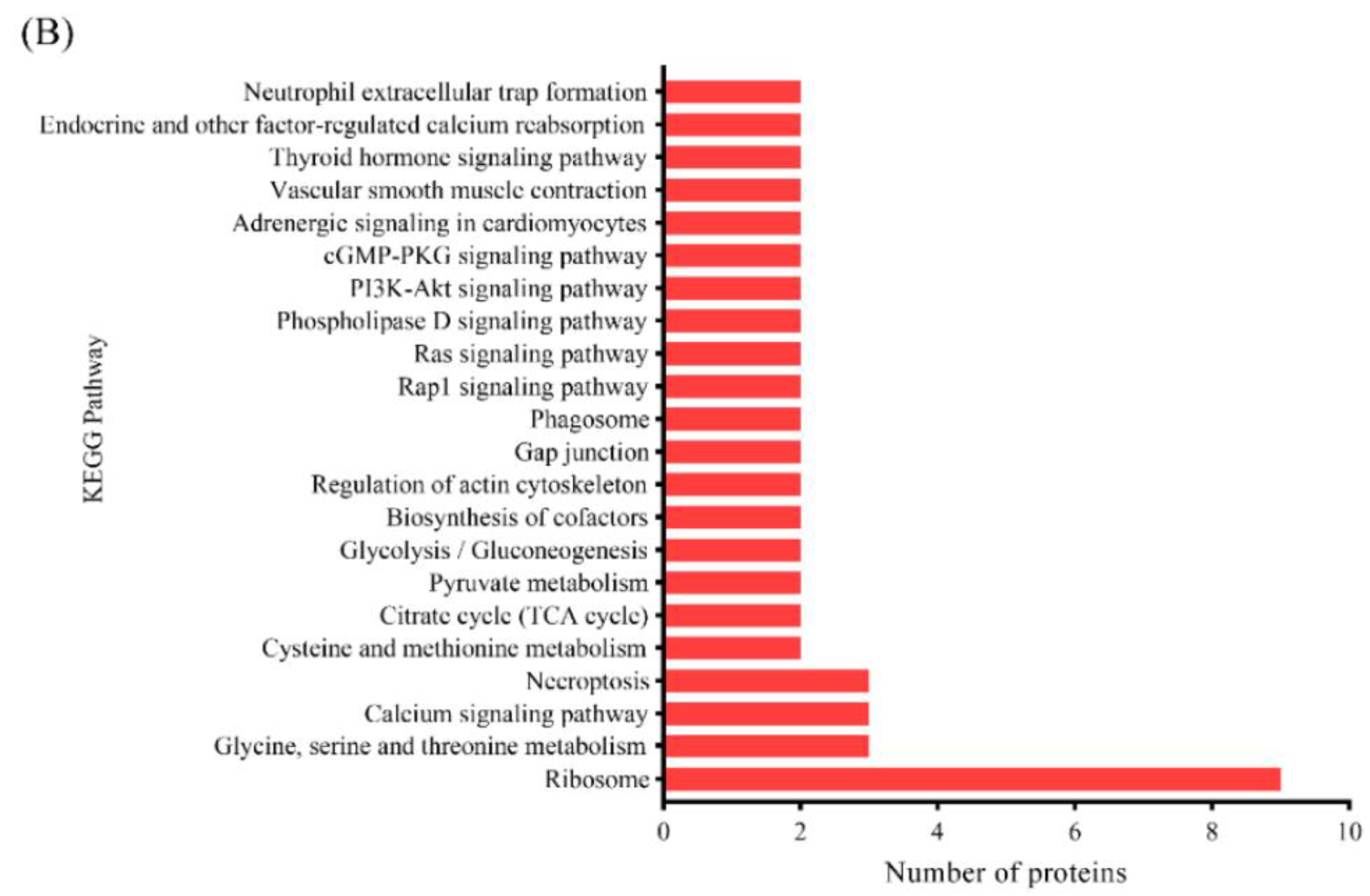 Foods 13 00525 g005b