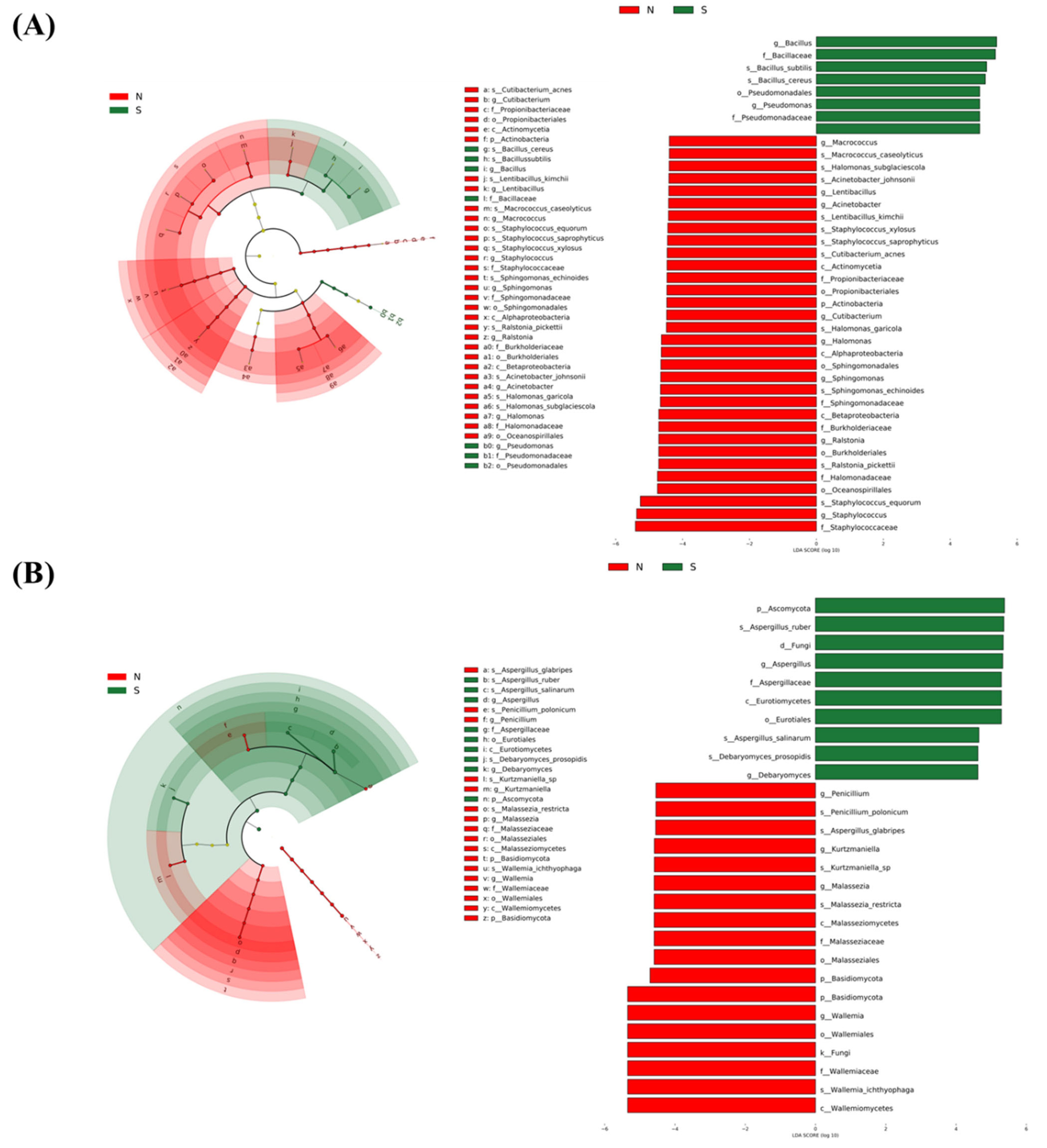 Foods 13 00776 g005 Foods 13 00776 g005