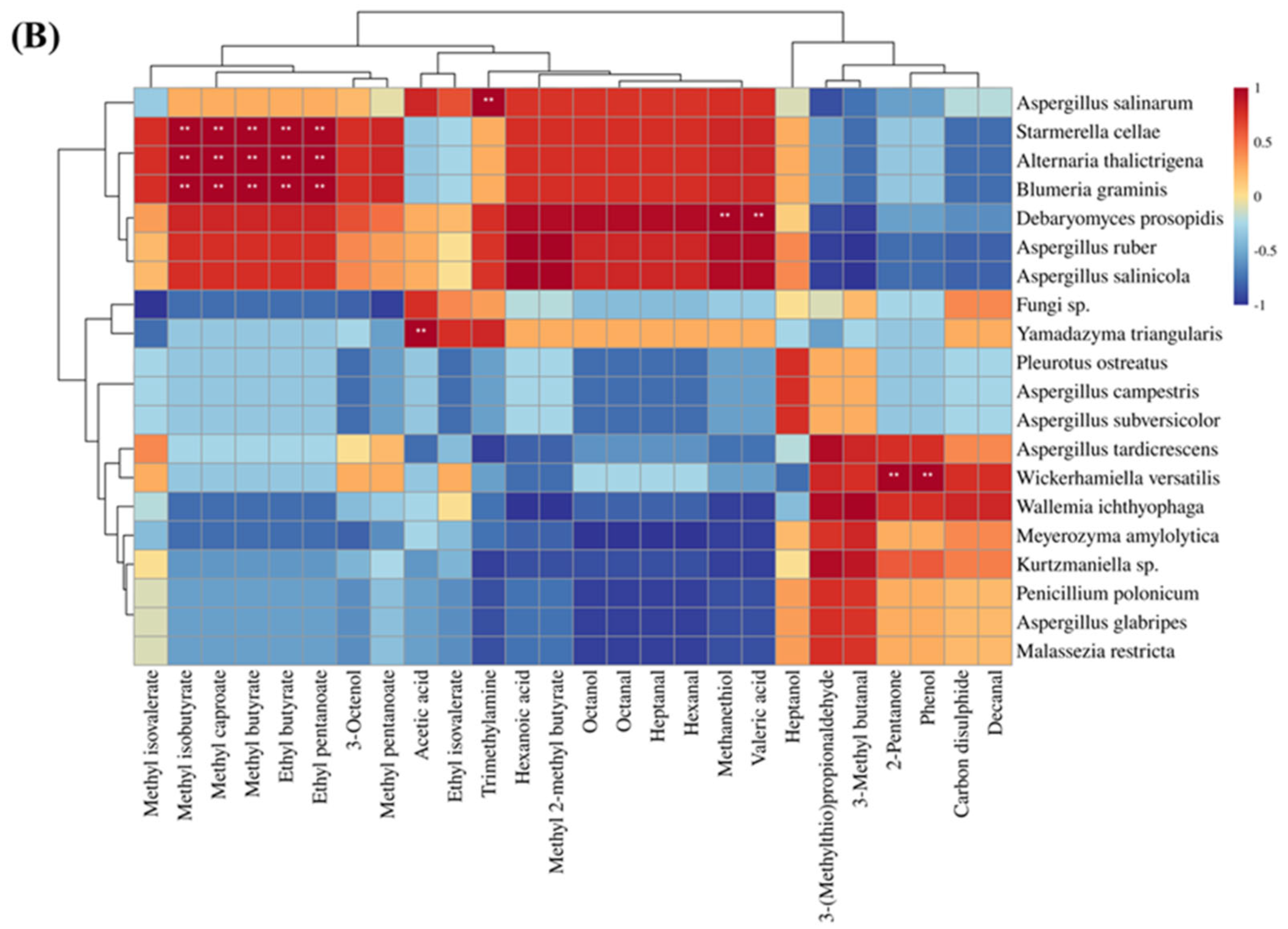 Foods 13 00776 g006b Foods 13 00776 g006b