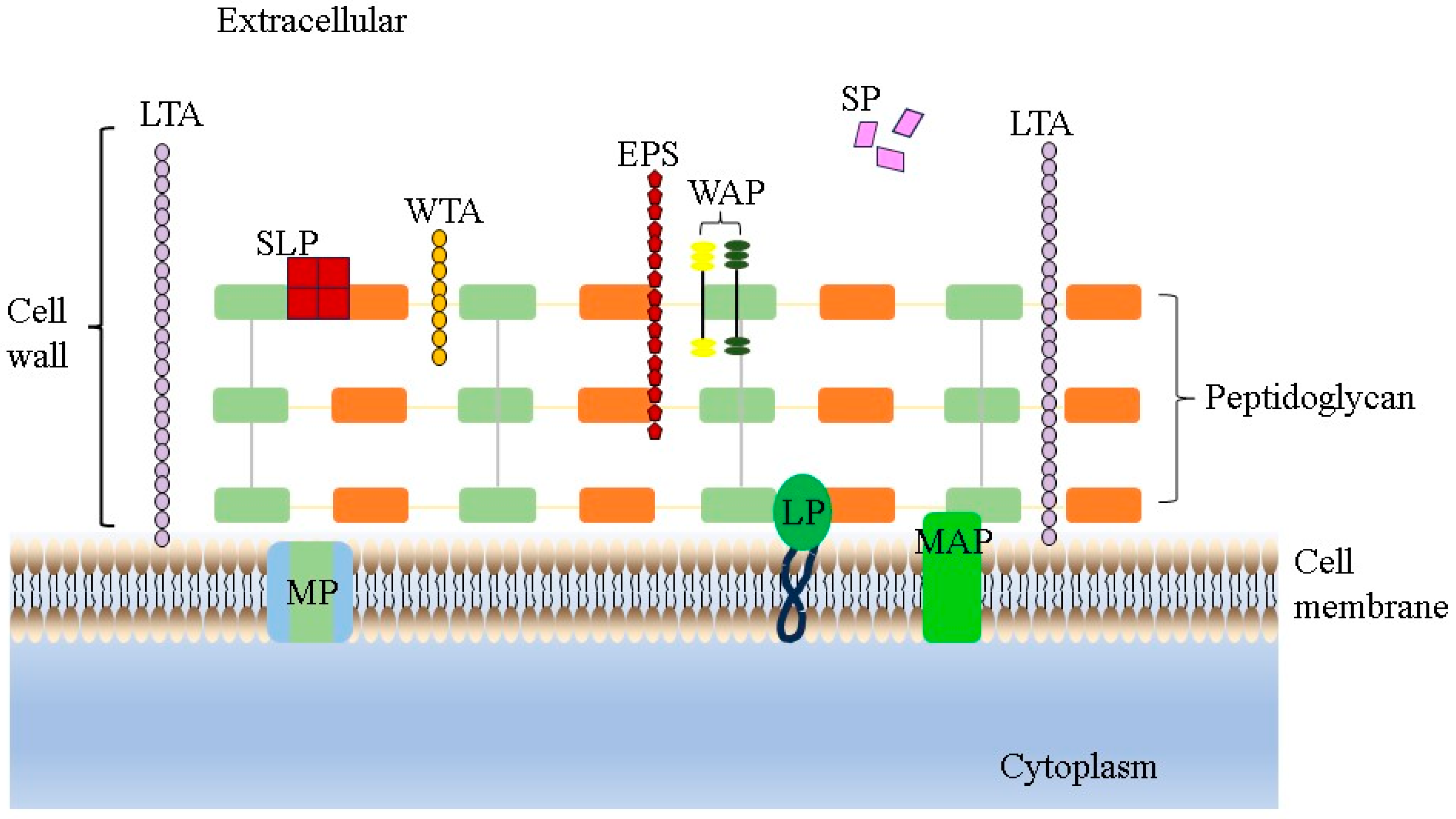Foods 13 00895 g001 Foods 13 00895 g001