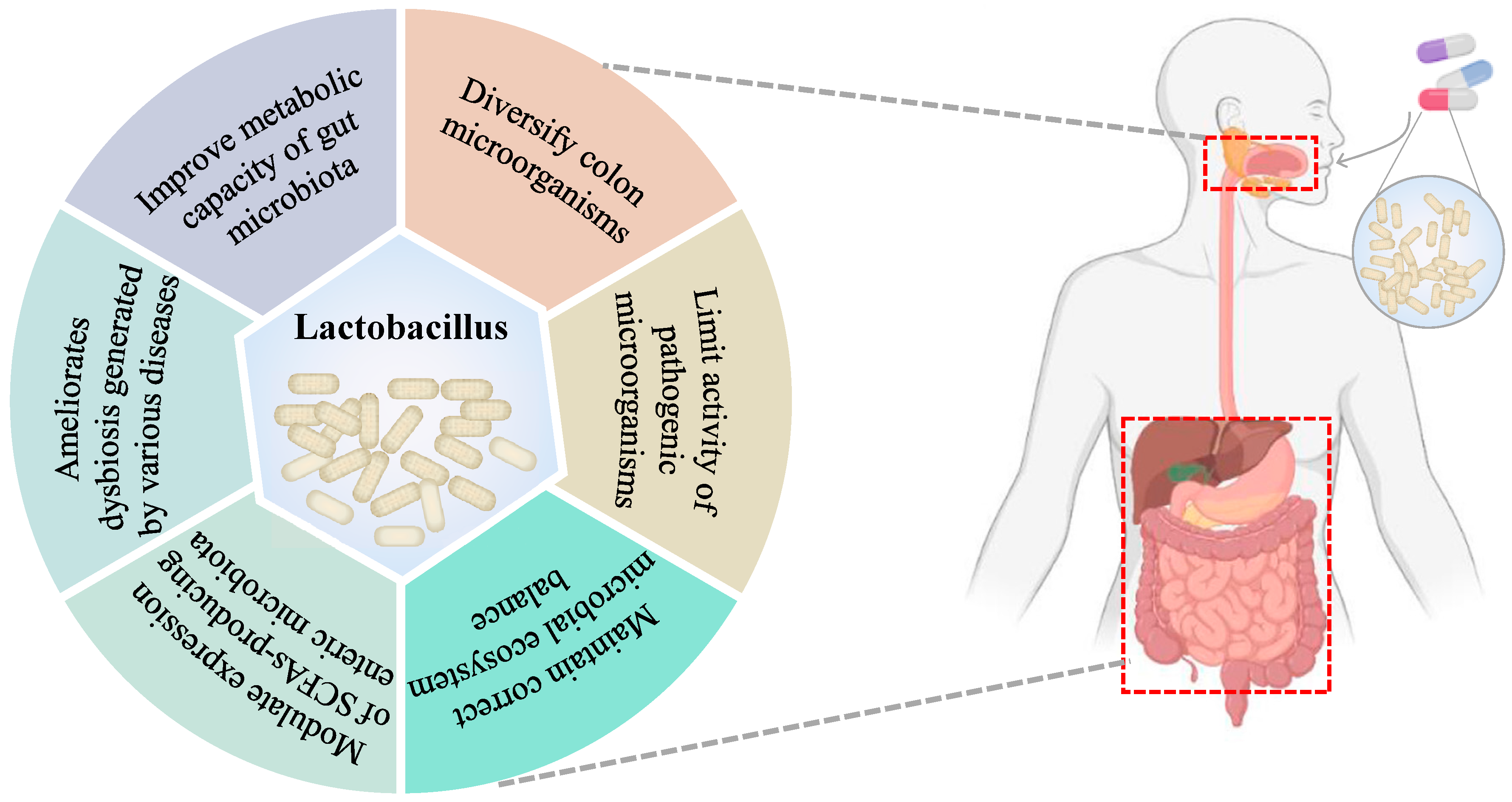 Foods 13 00895 g003 Foods 13 00895 g003