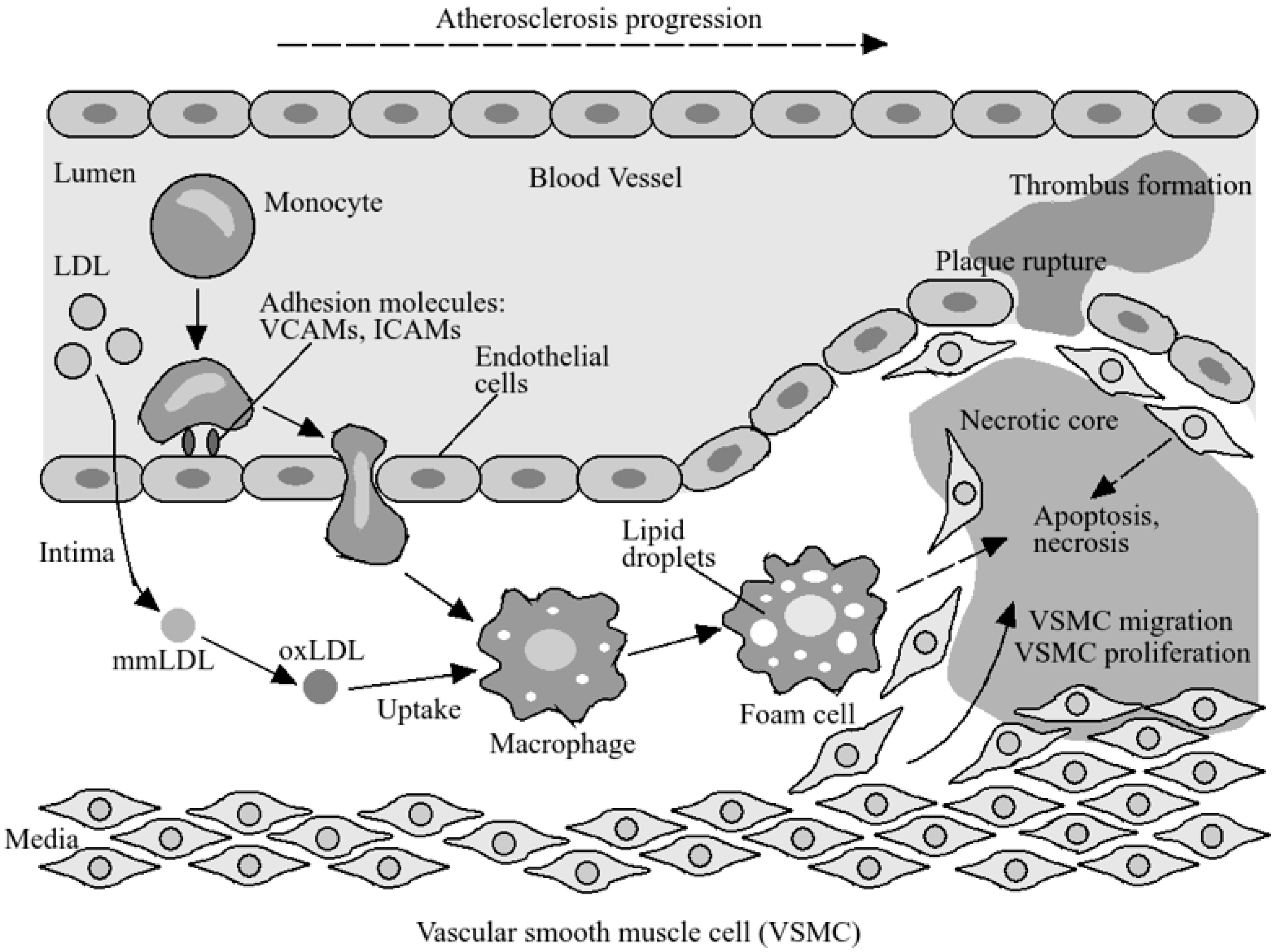 Foods 13 01026 g002 Foods 13 01026 g002