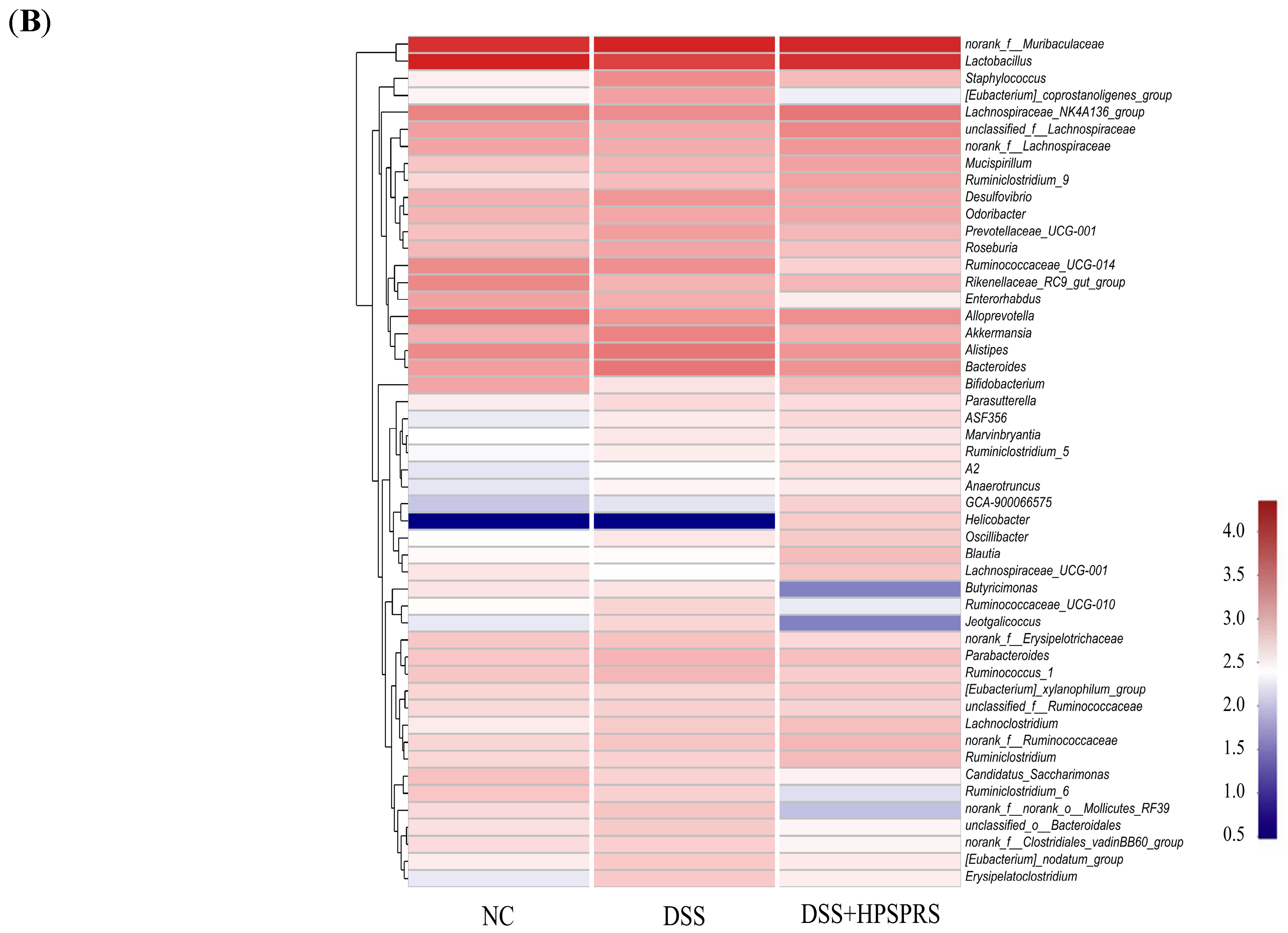 Foods 13 01028 g005b