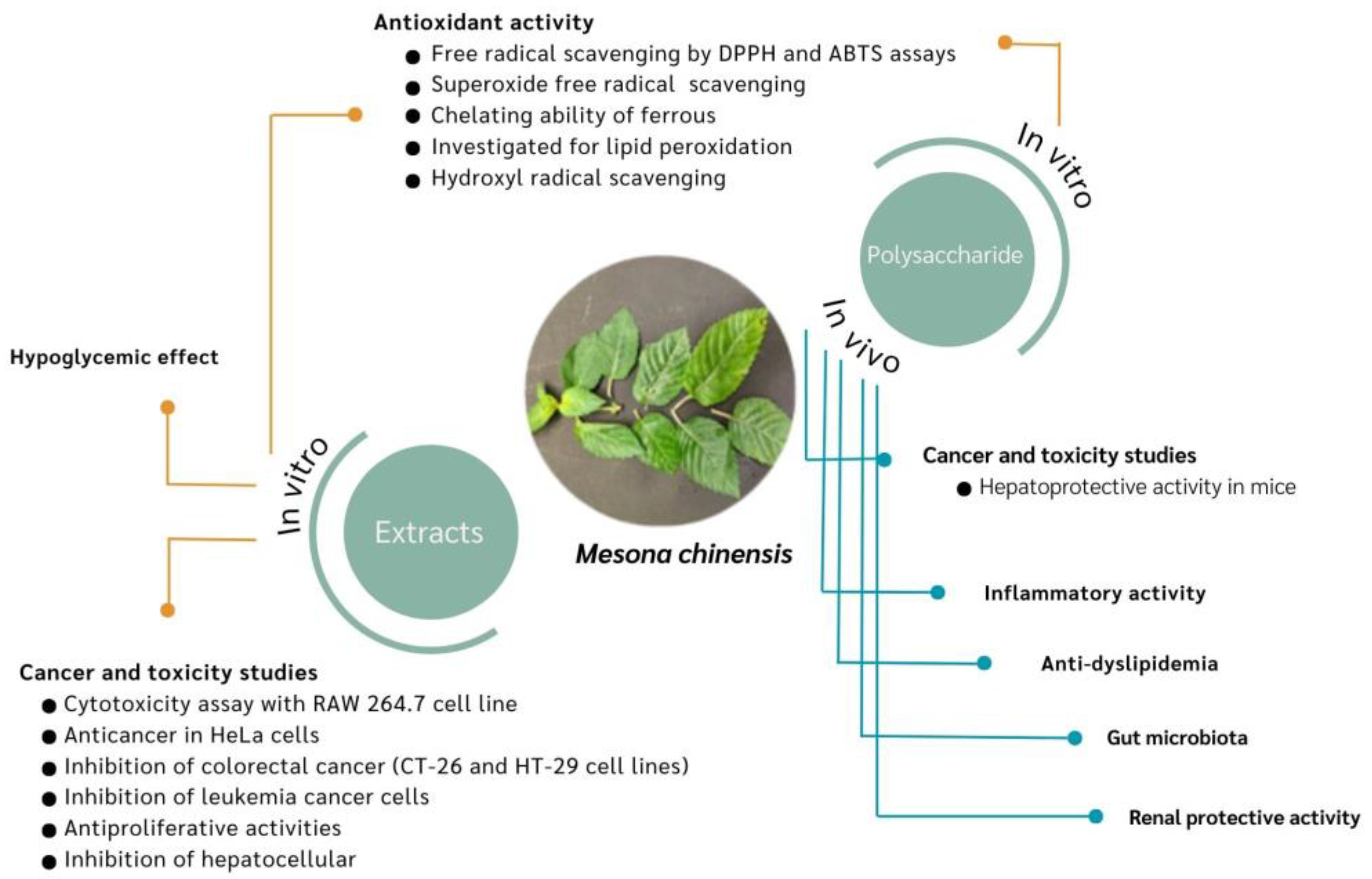 Foods 13 01134 g003 Foods 13 01134 g003
