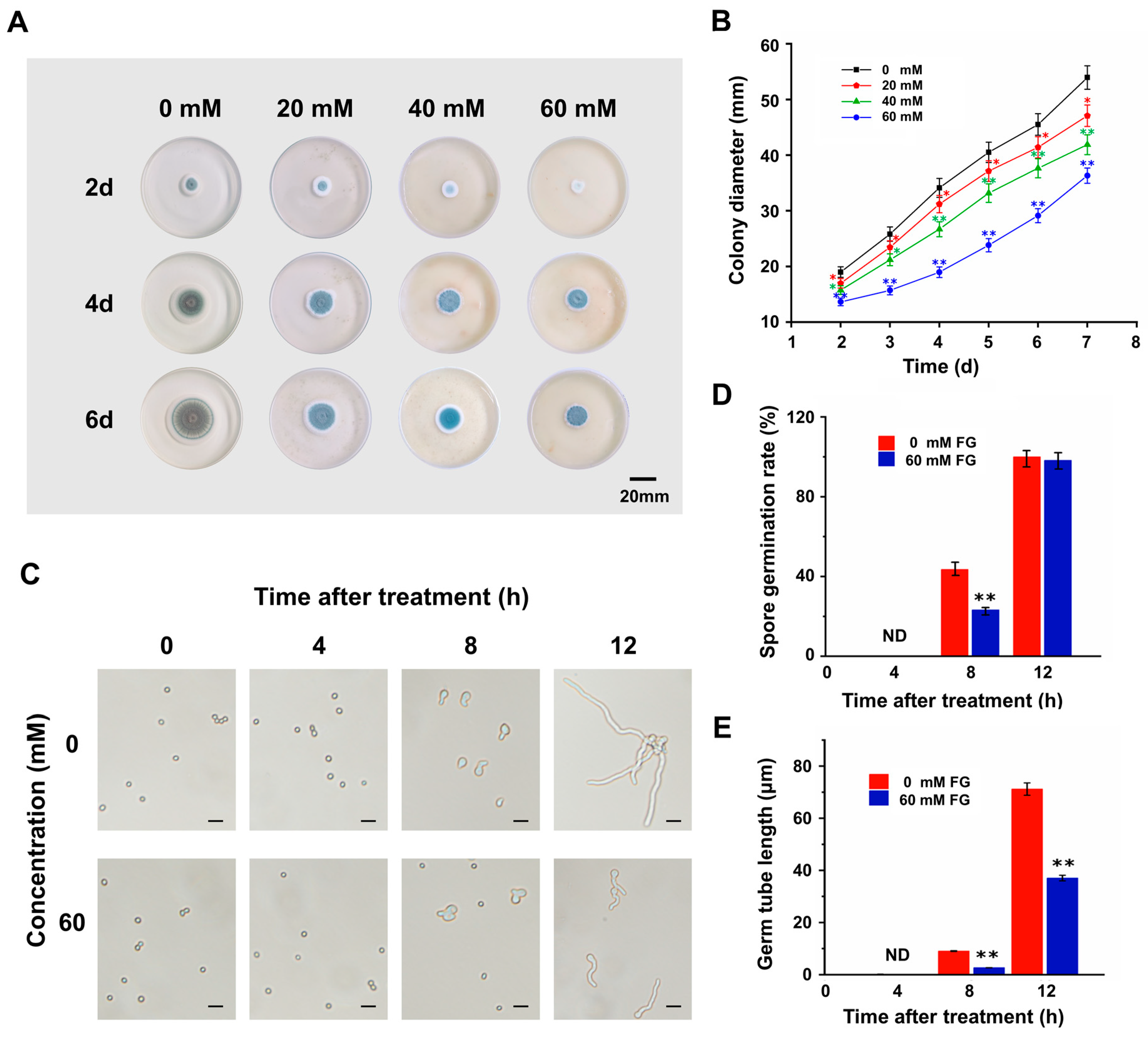 Foods 13 01147 g001 Foods 13 01147 g001
