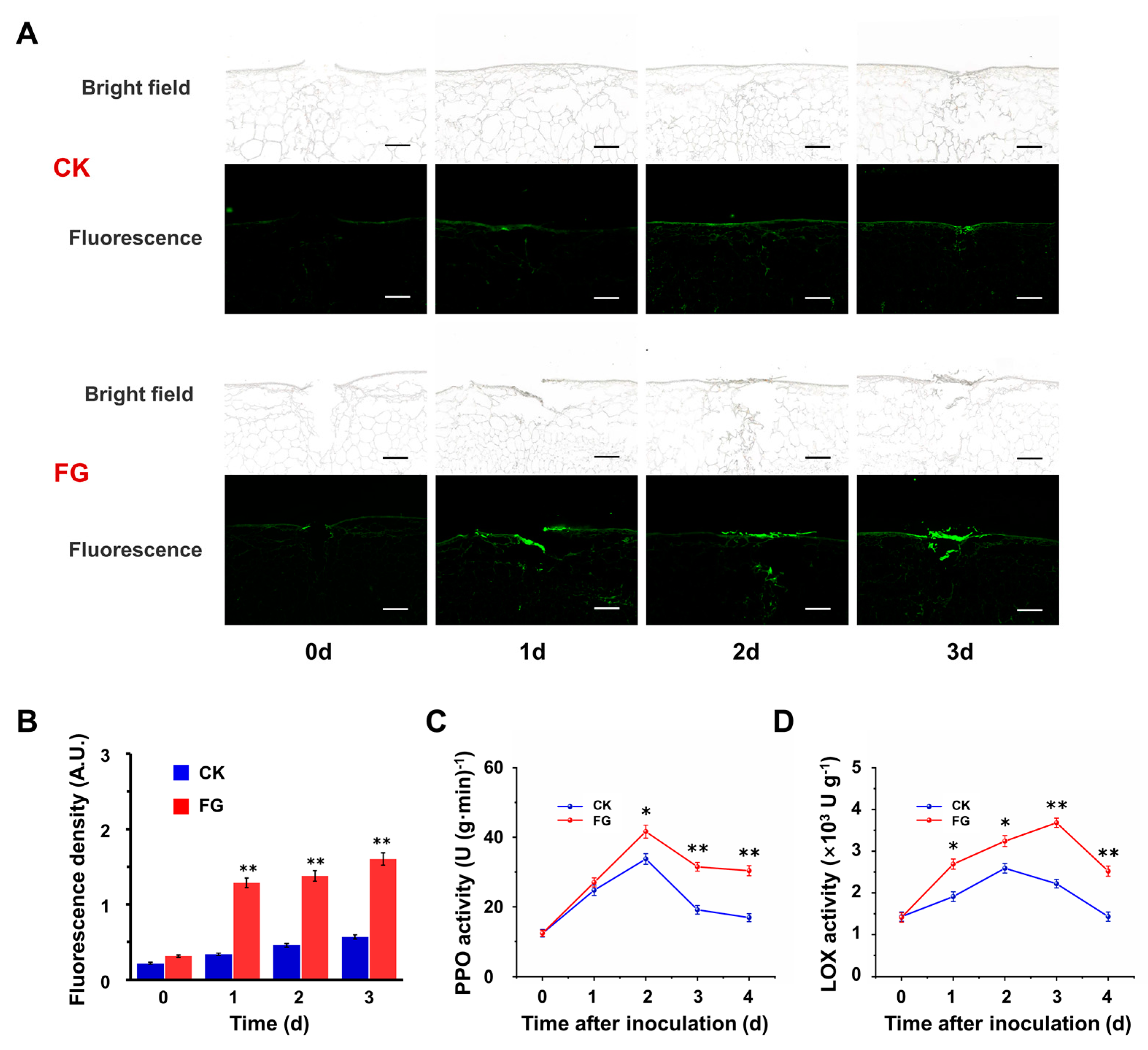 Foods 13 01147 g003 Foods 13 01147 g003