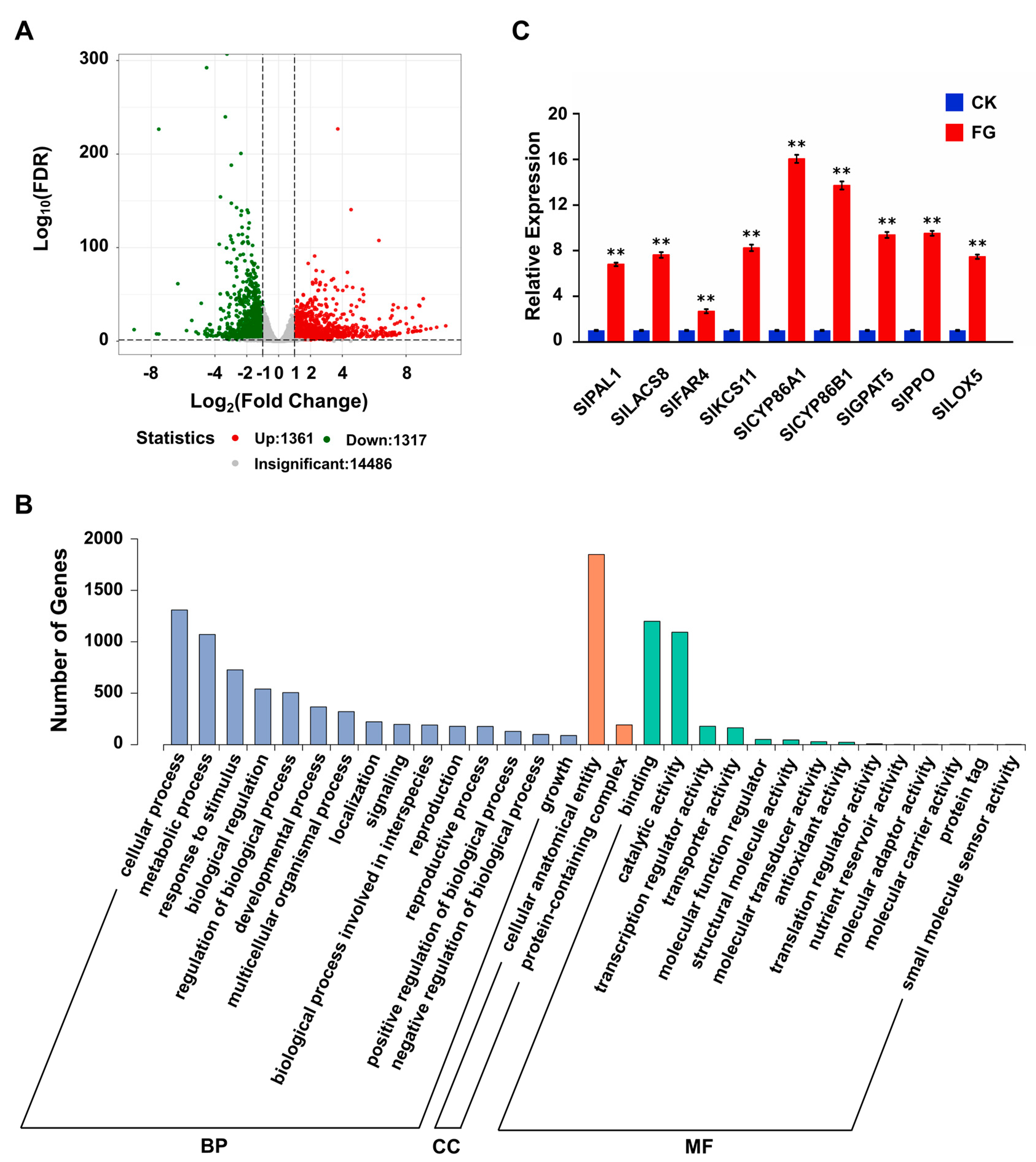Foods 13 01147 g005 Foods 13 01147 g005