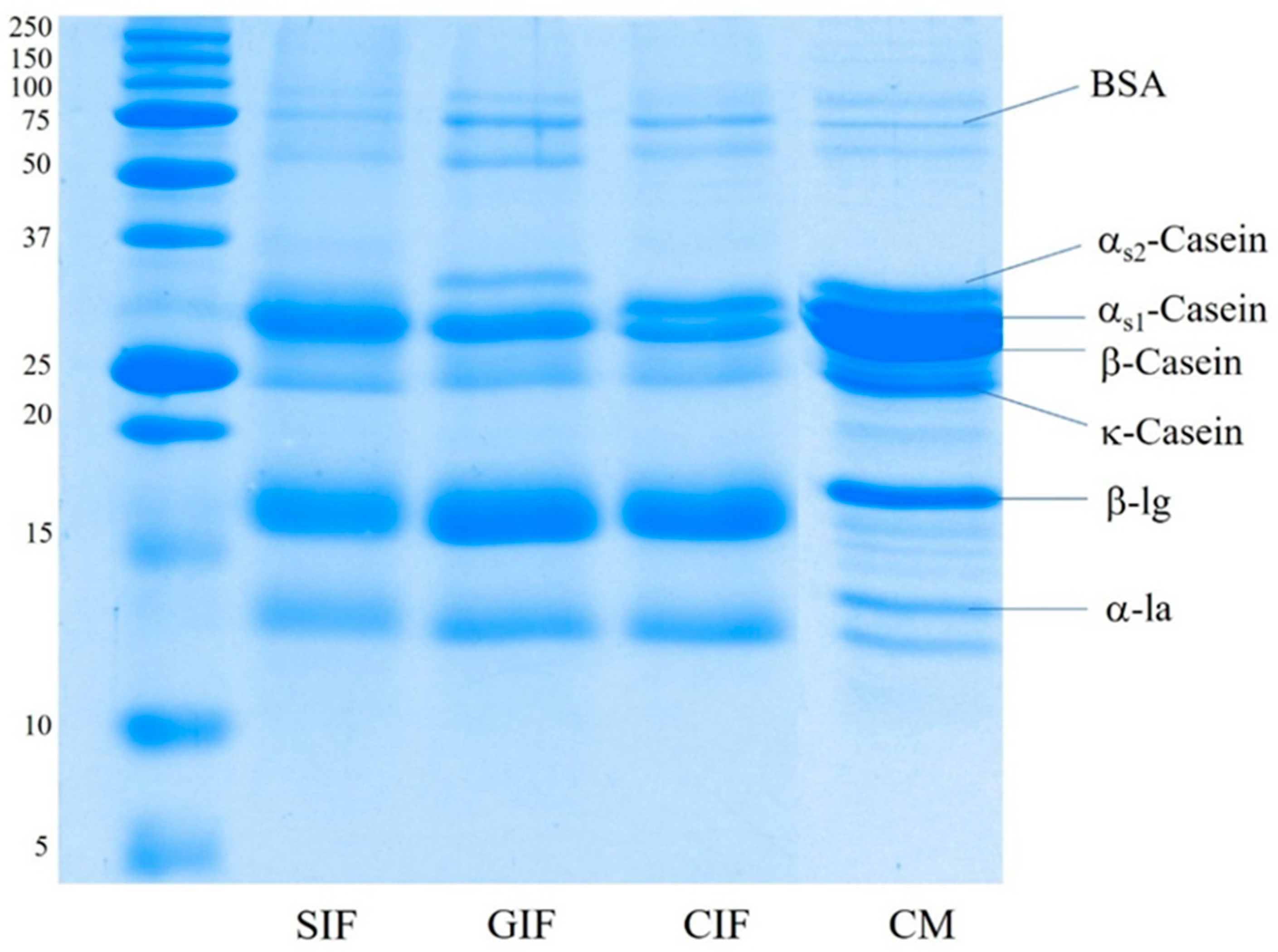 Foods 13 01286 g001 Foods 13 01286 g001