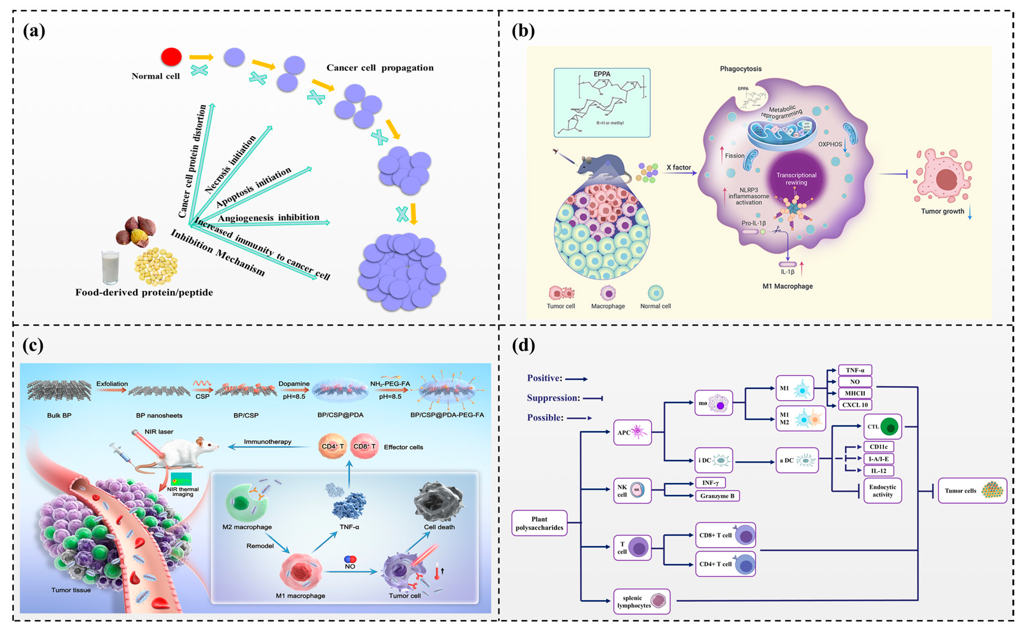 Foods 13 01363 g004 Foods 13 01363 g004