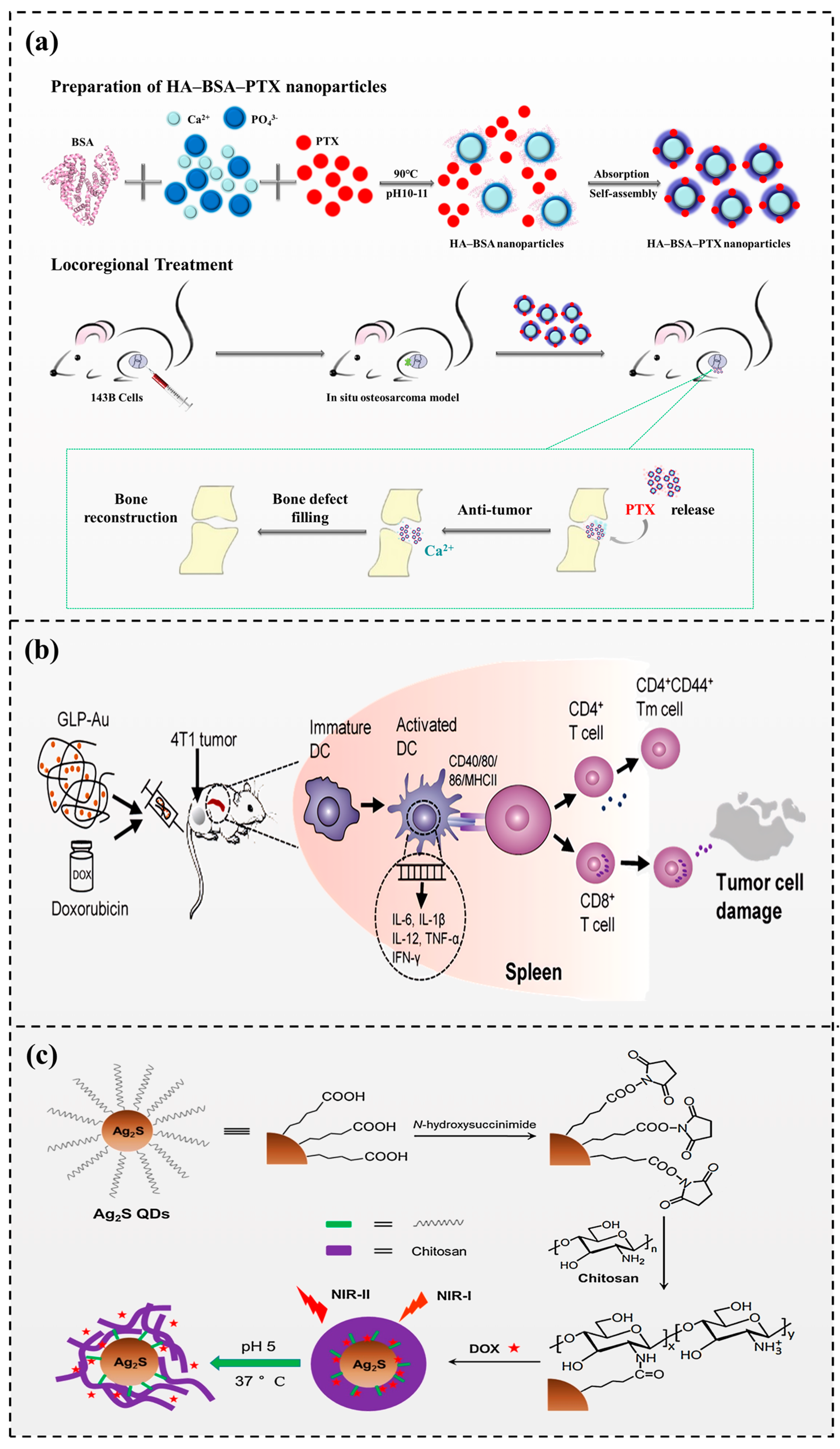 Foods 13 01363 g005 Foods 13 01363 g005