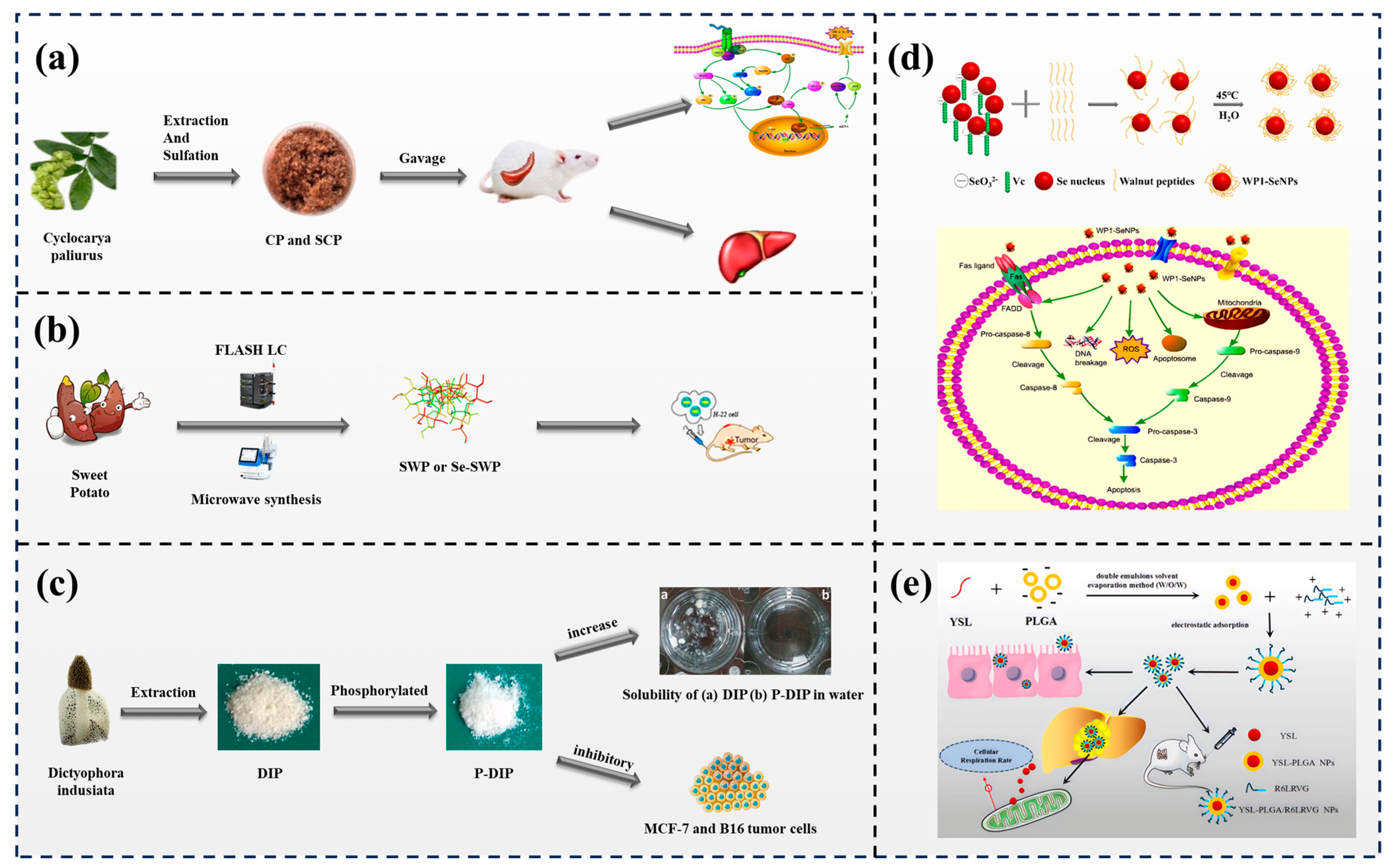 Foods 13 01363 g007 Foods 13 01363 g007