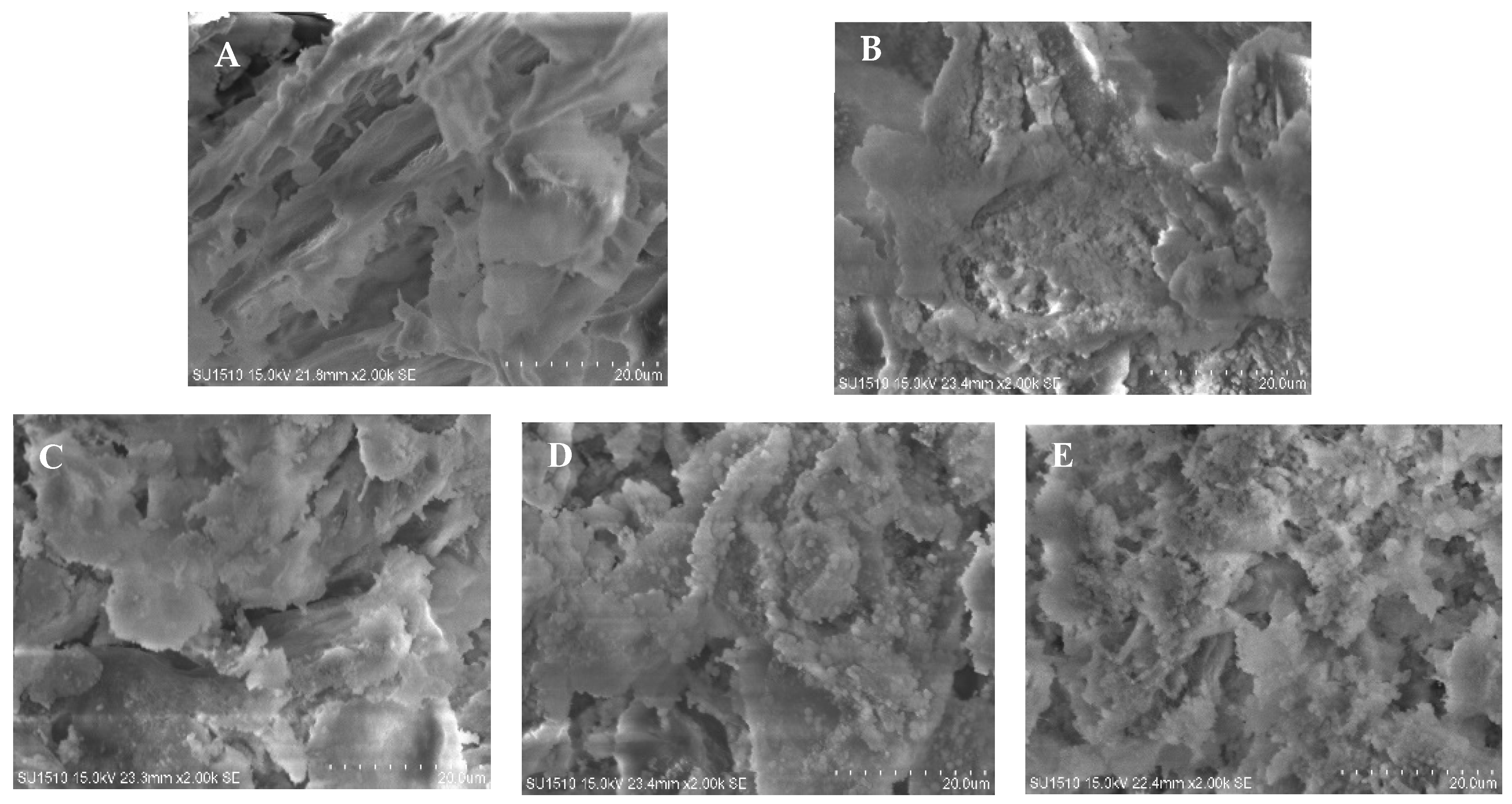 Foods 13 01447 g006a