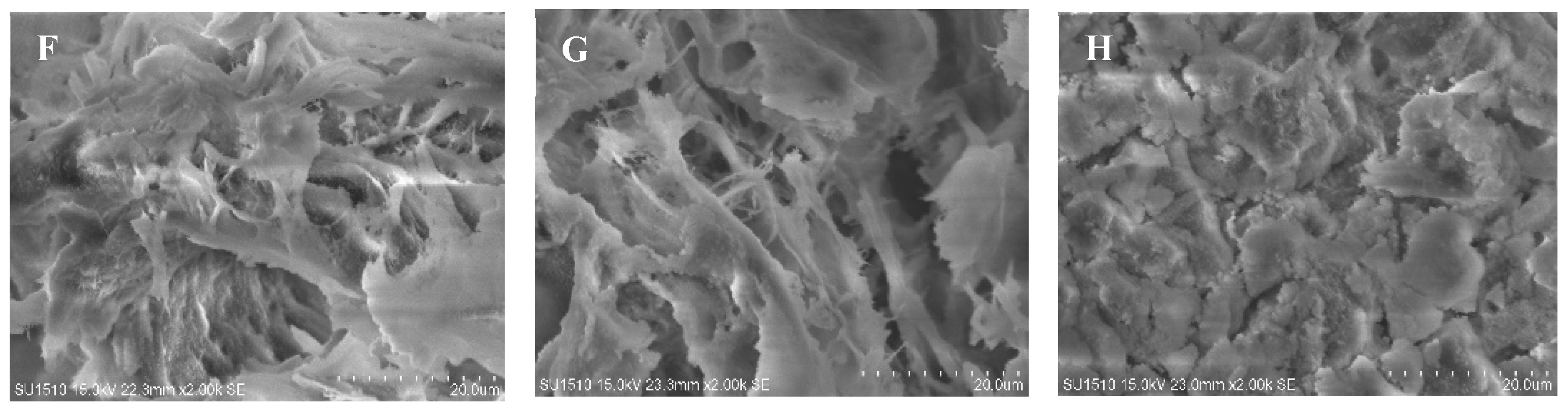 Foods 13 01447 g006b