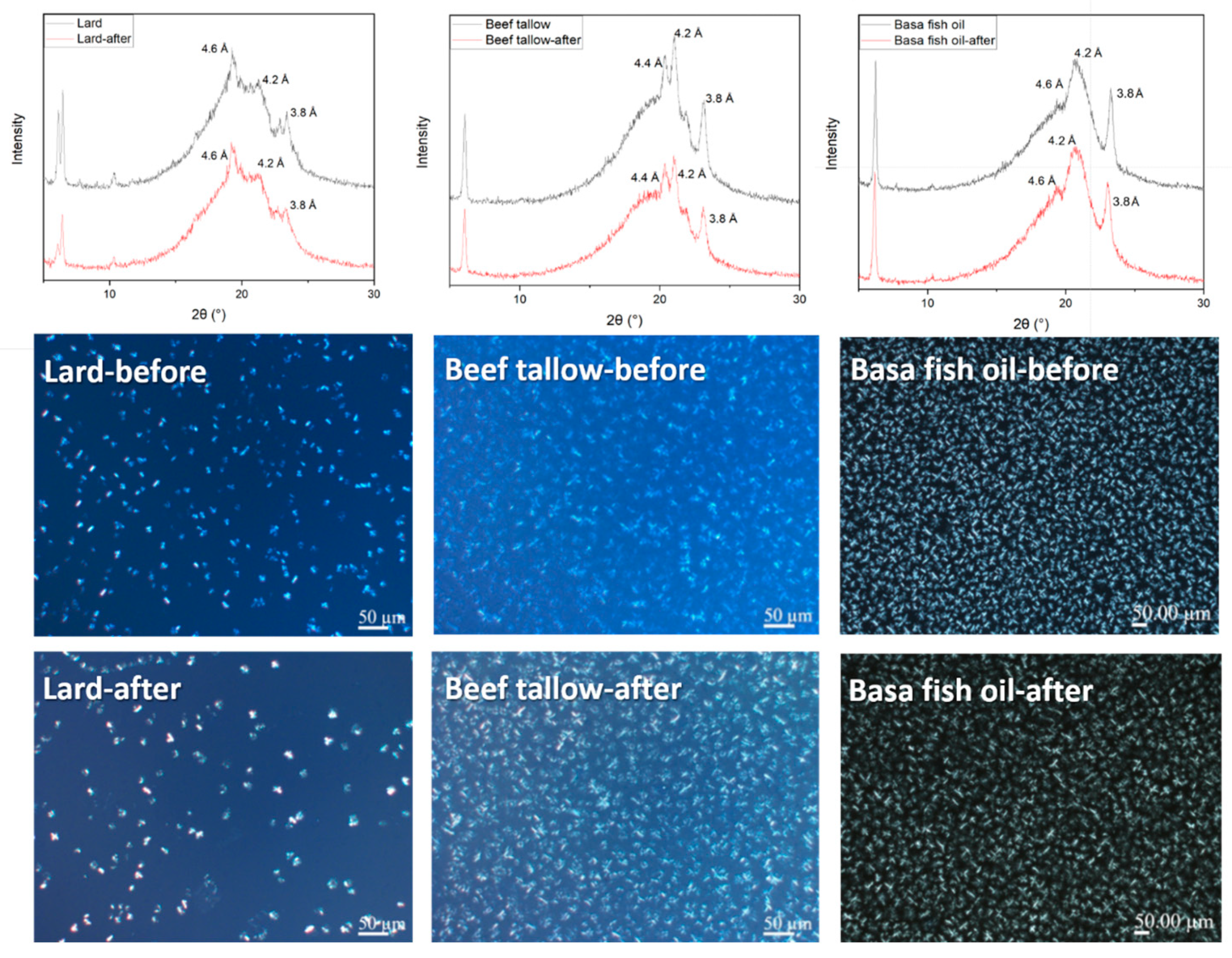 Foods 13 01478 g005 Foods 13 01478 g005