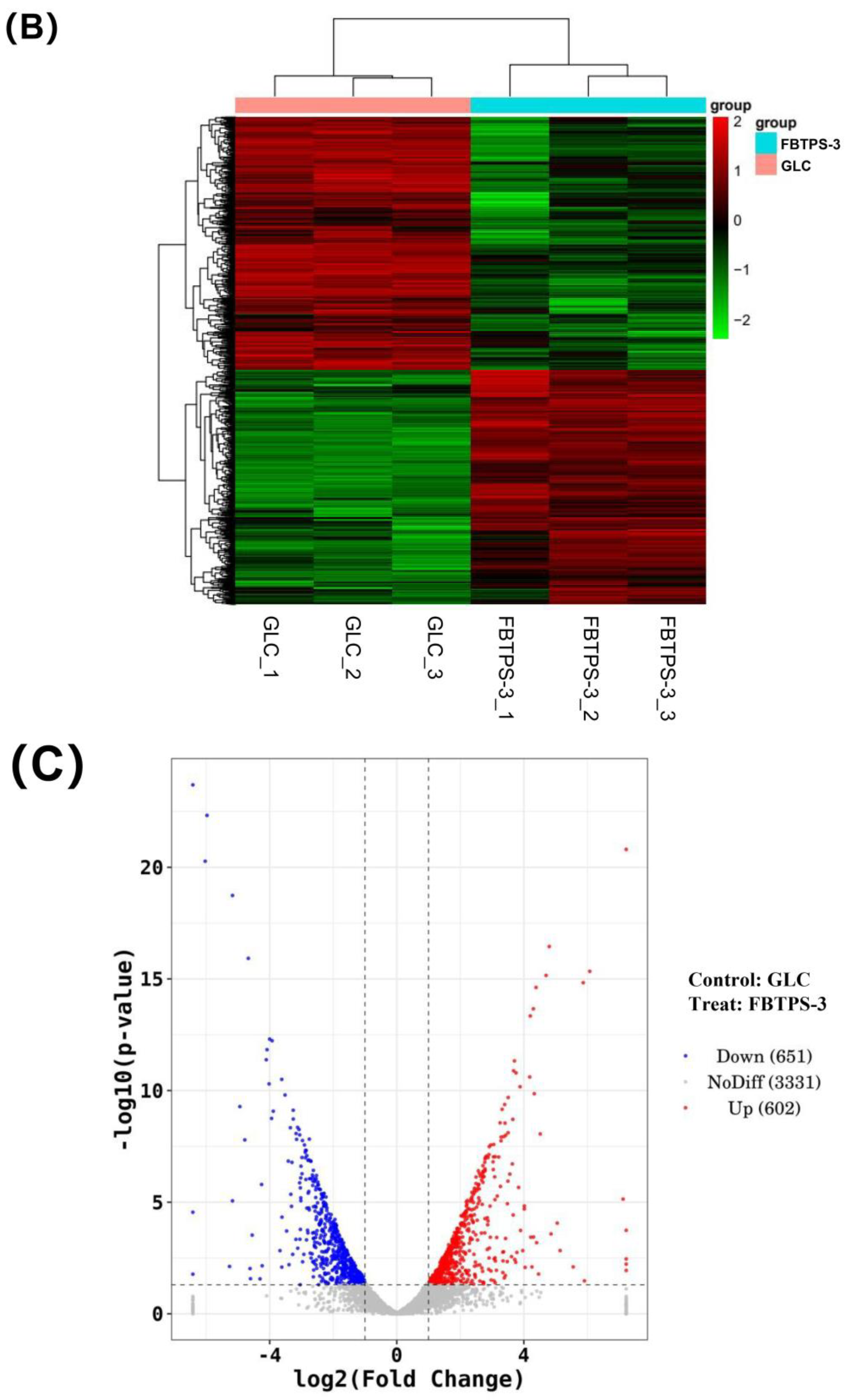 Foods 13 01666 g005b