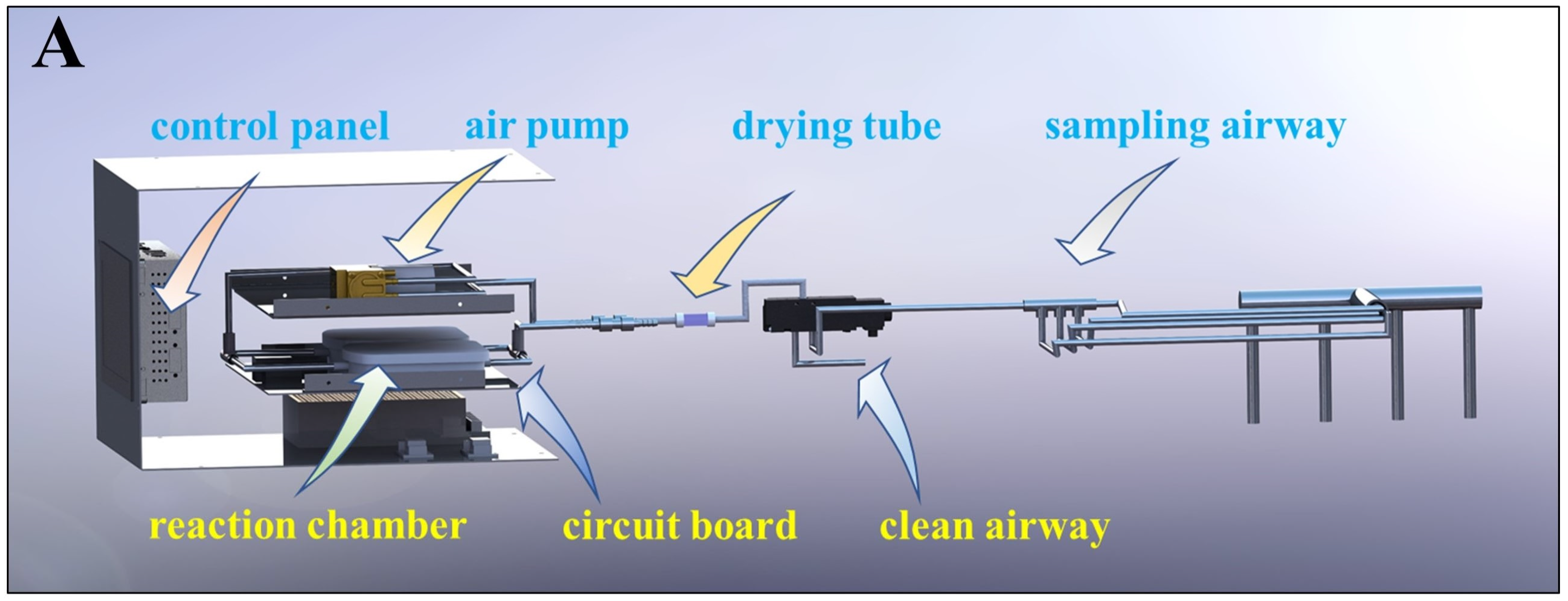 Foods 13 01721 g002a