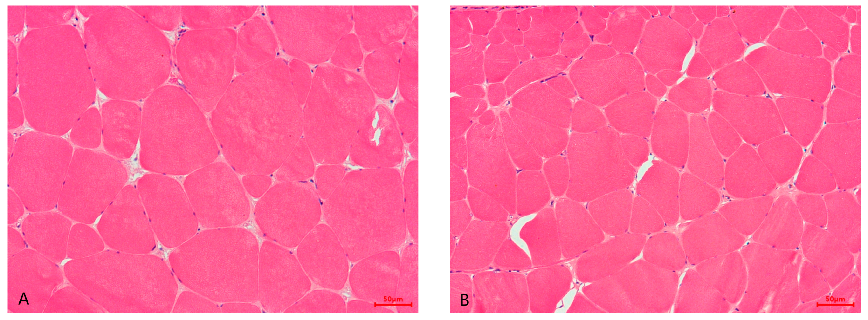 Foods 13 01751 g001a