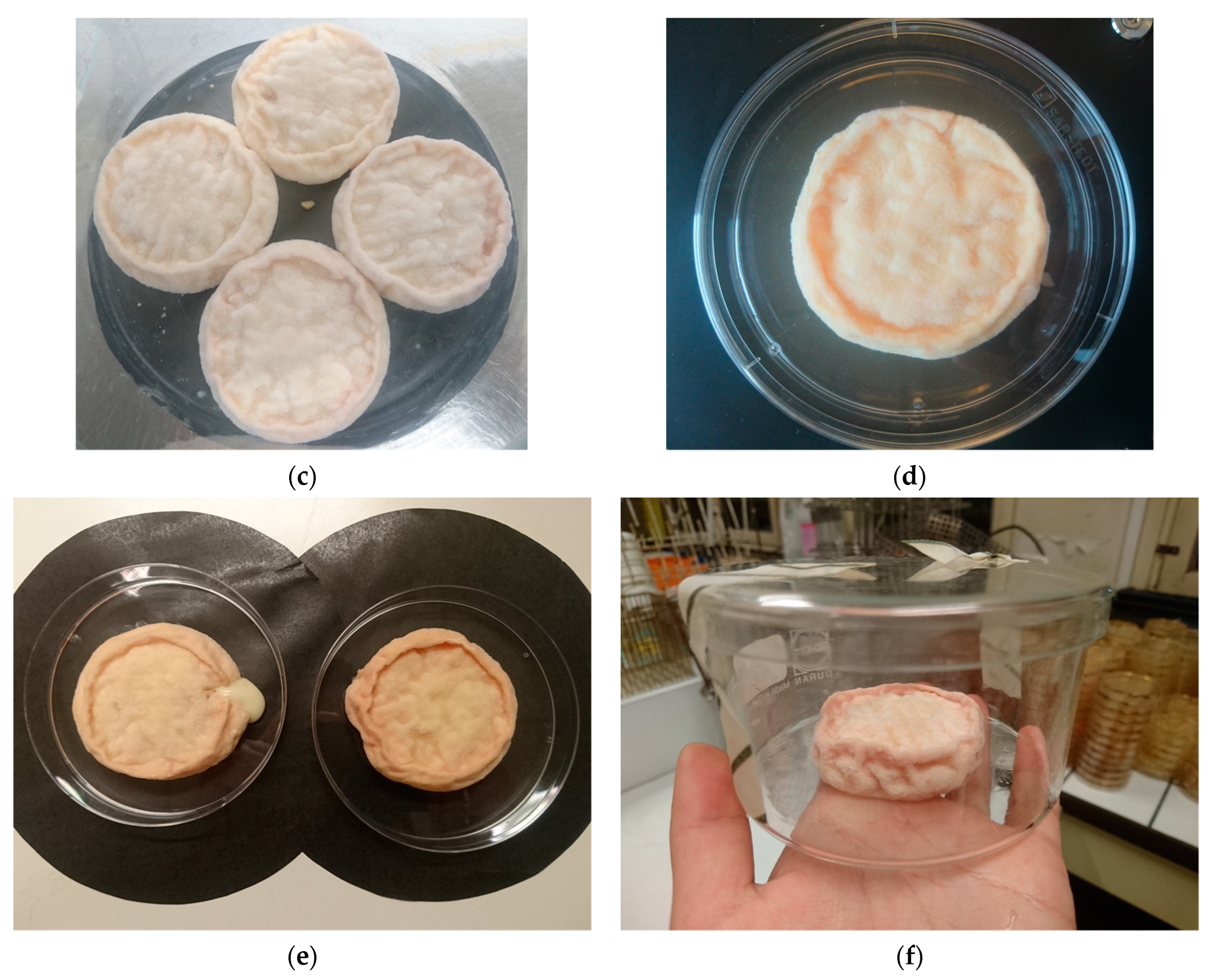 Foods 13 01809 g005b