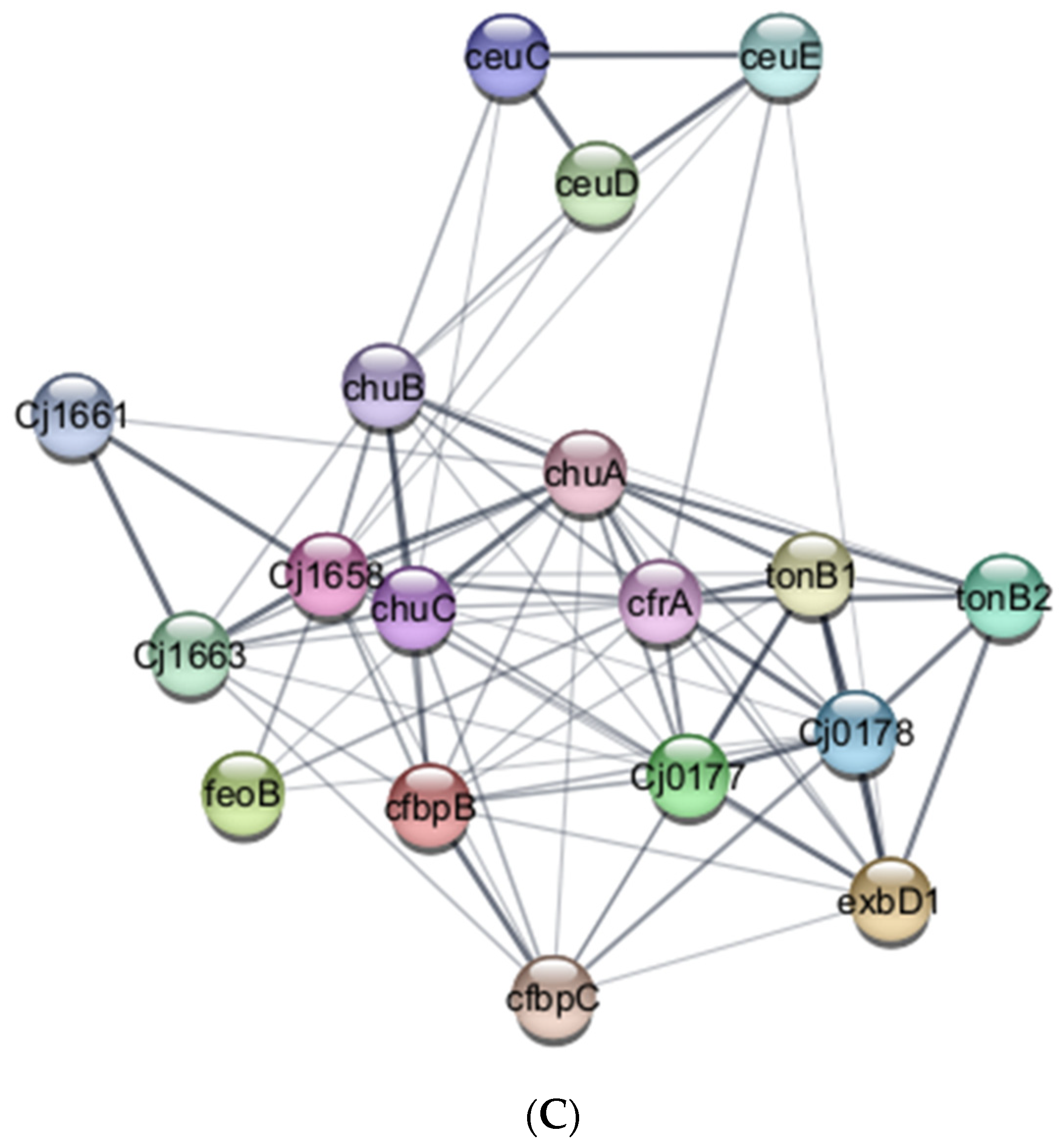 Foods 13 01828 g011b