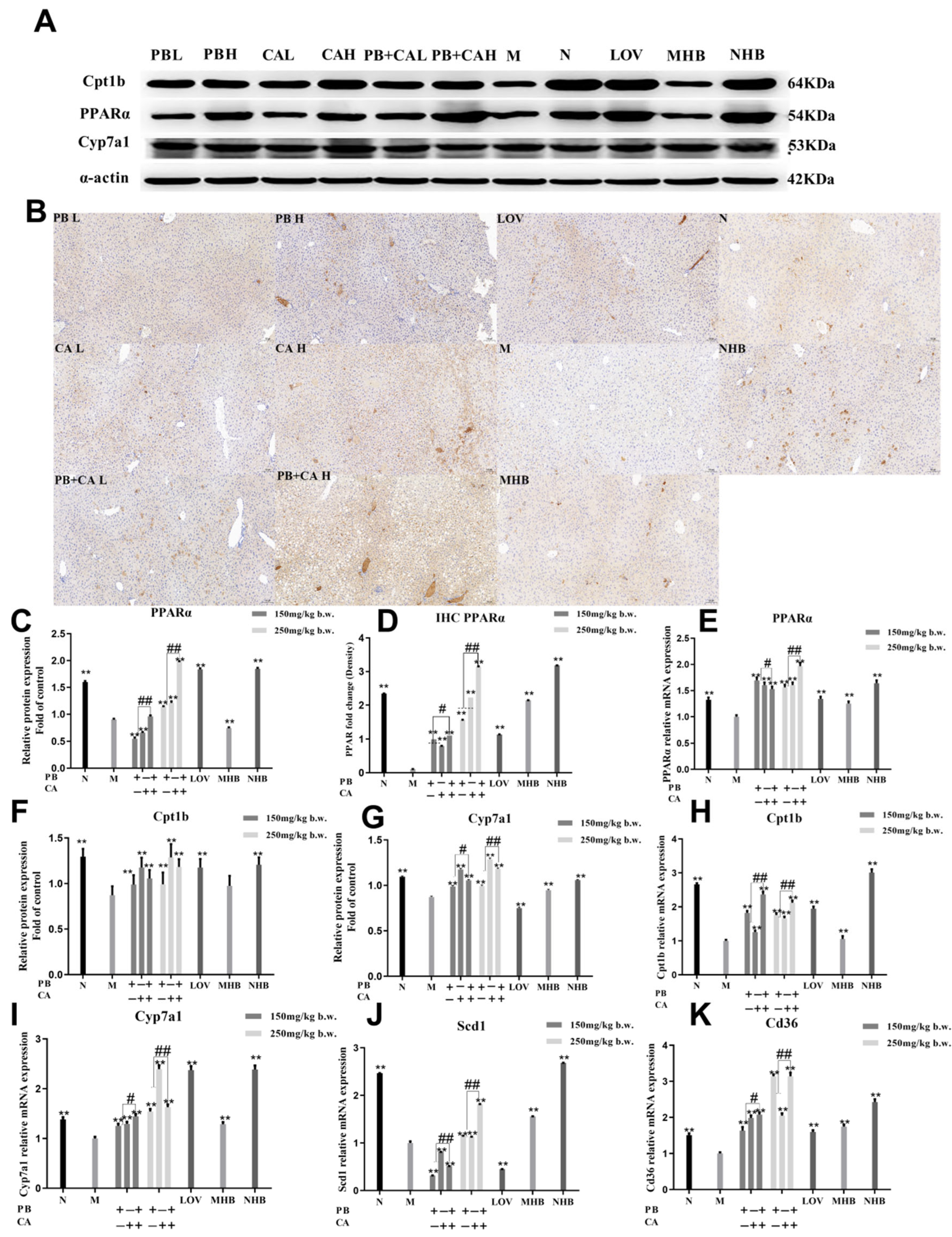 Foods 13 01843 g005 Foods 13 01843 g005
