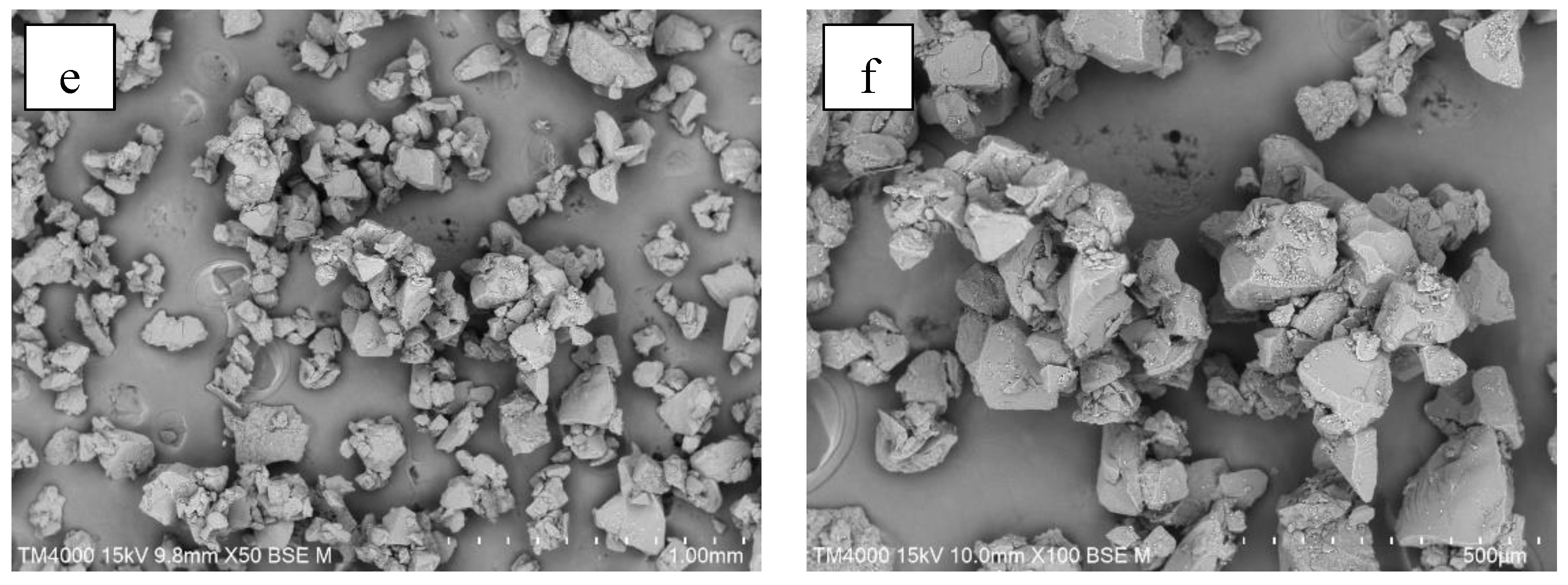 Foods 13 01859 g008b