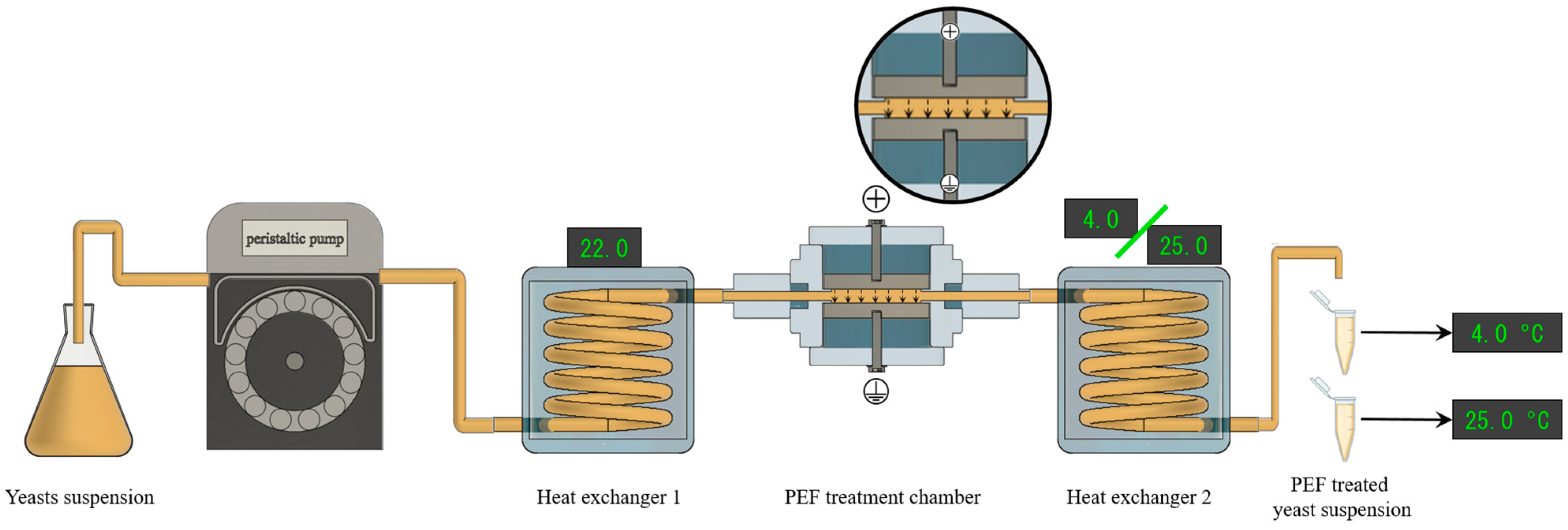 Foods 13 01916 g001 Foods 13 01916 g001