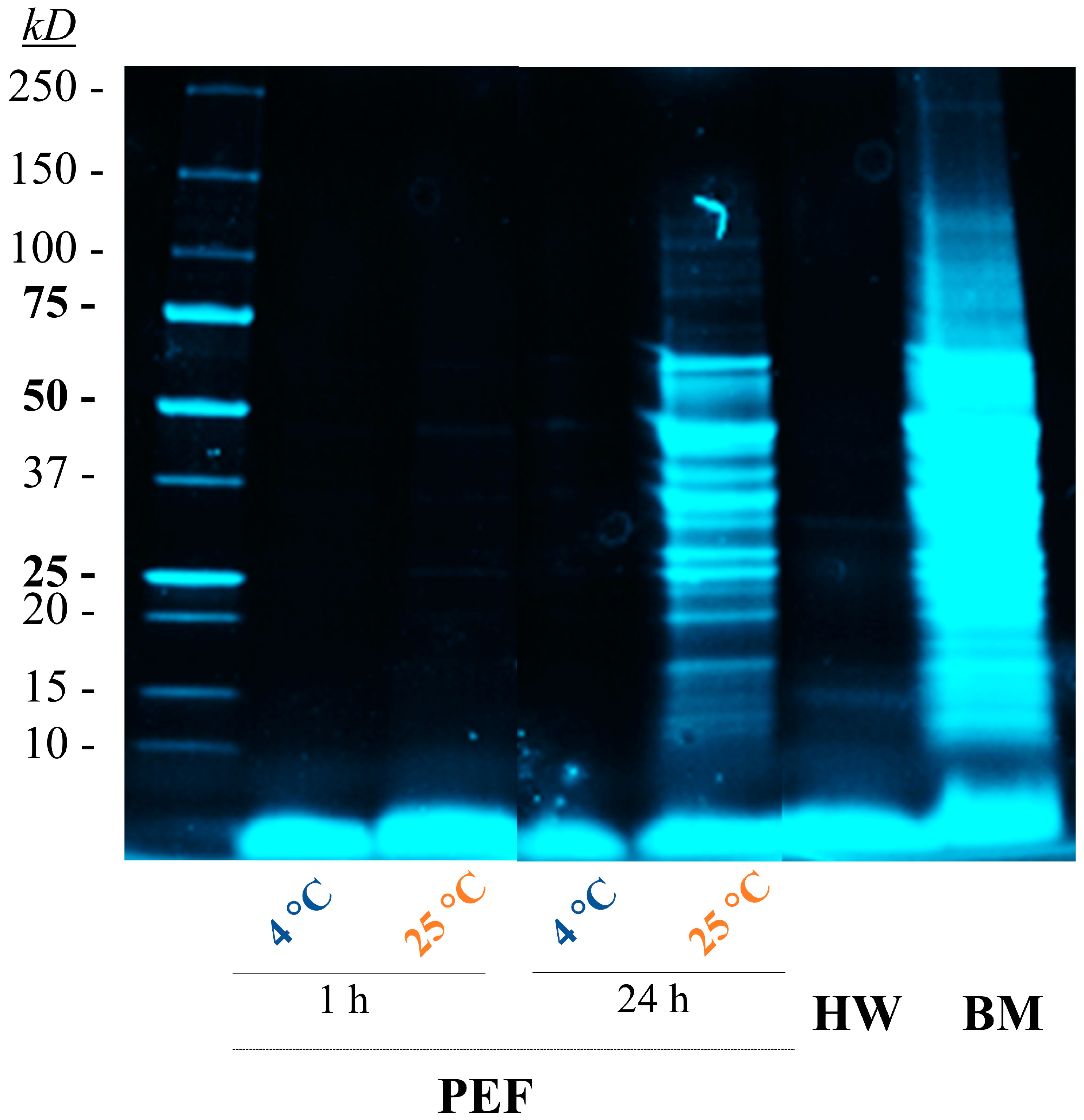 Foods 13 01916 g005 Foods 13 01916 g005