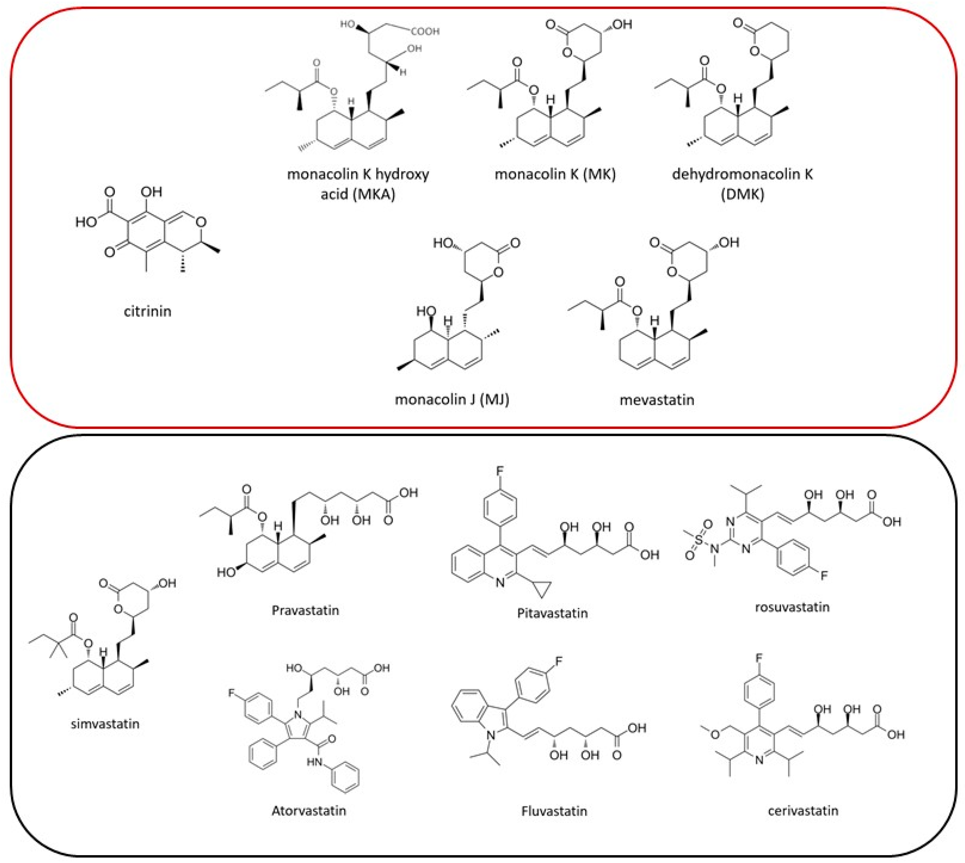 Foods 13 01919 g001 Foods 13 01919 g001