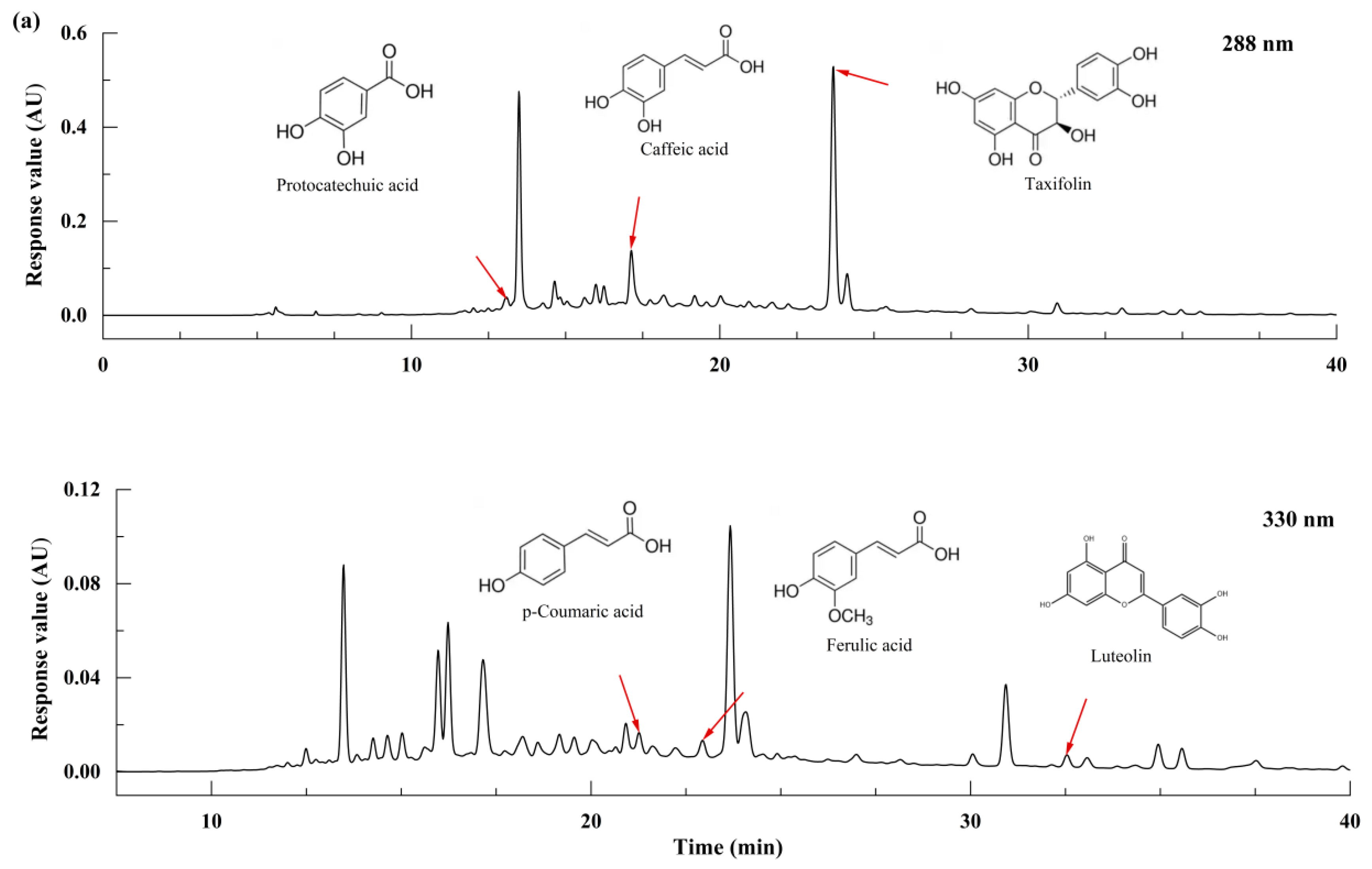 Foods 13 01928 g003a