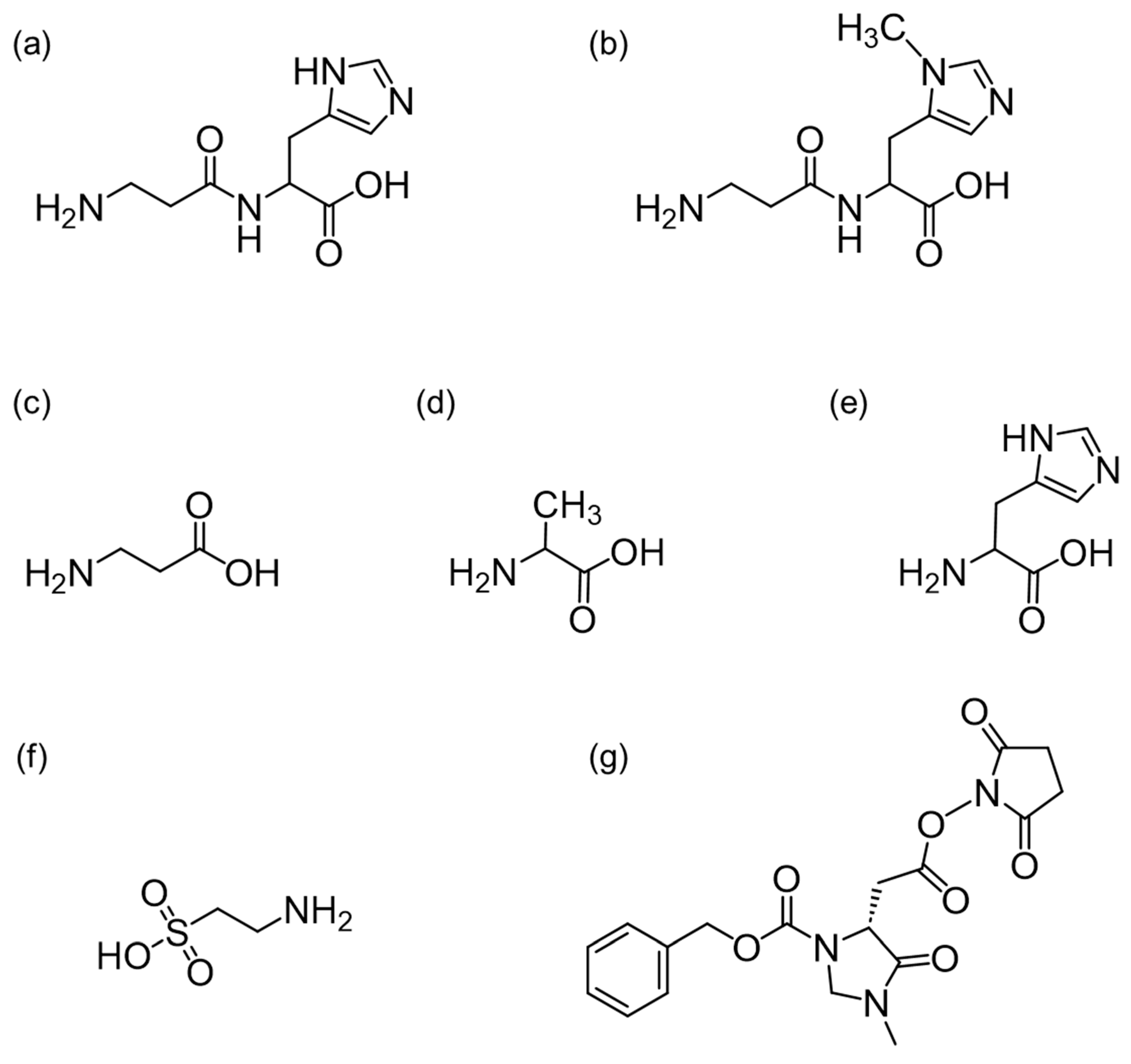 Foods 13 01951 g001 Foods 13 01951 g001
