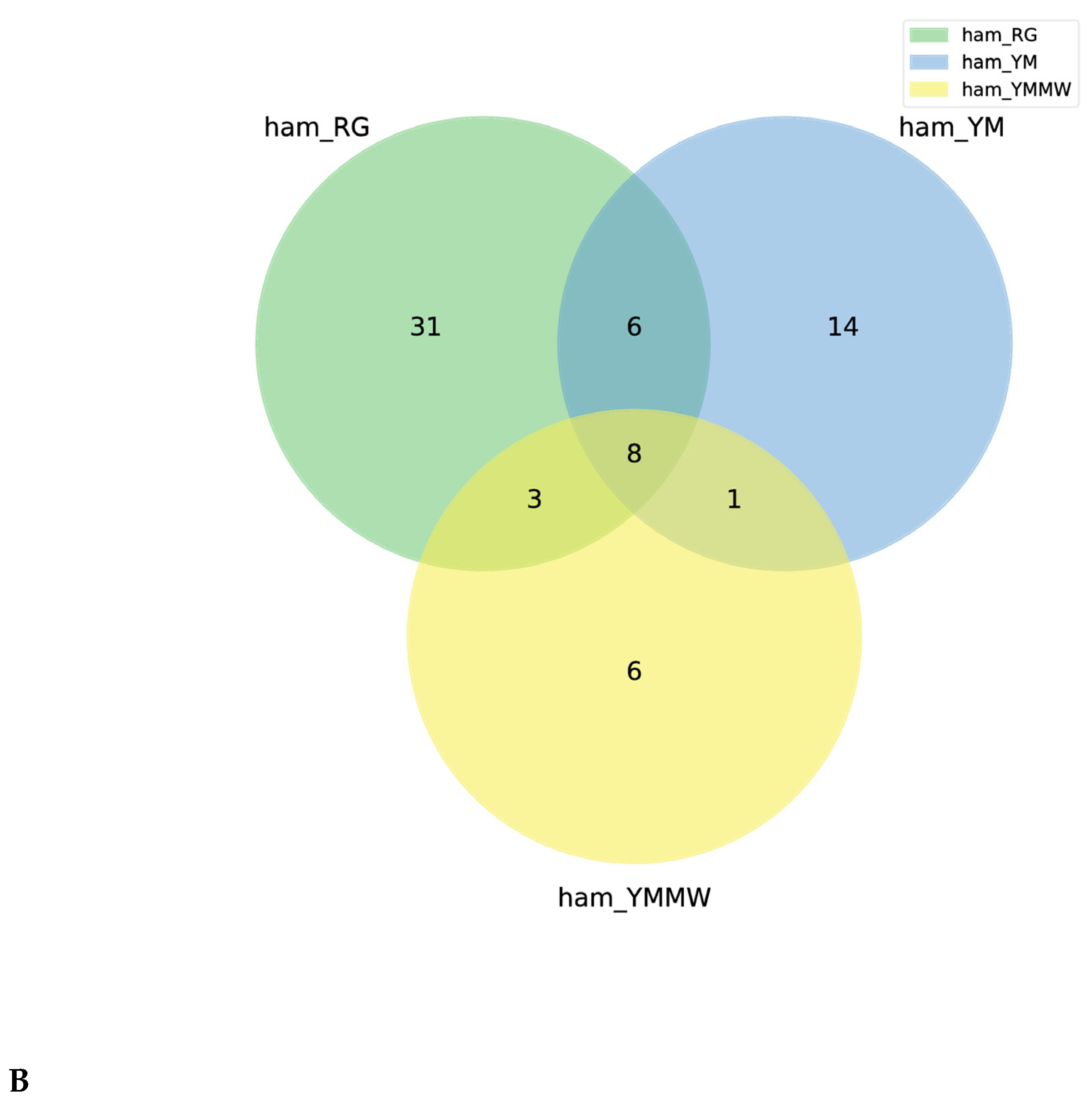 Foods 13 02494 g001b
