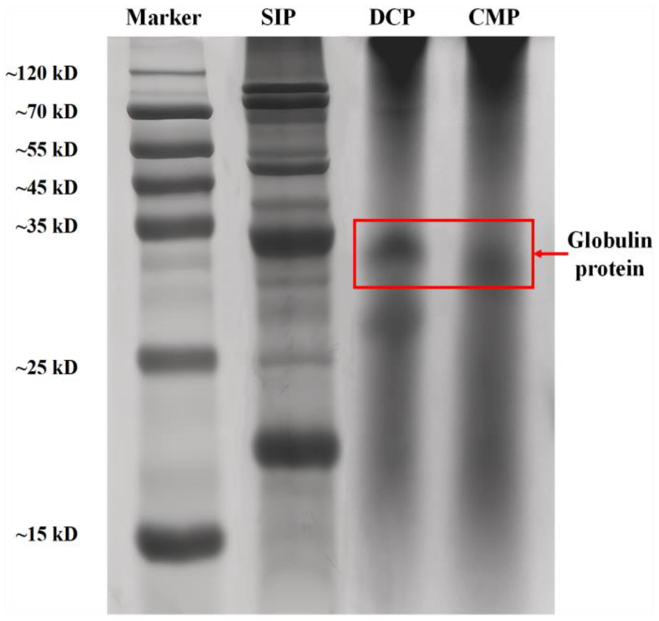 Foods 13 02496 g001 Foods 13 02496 g001