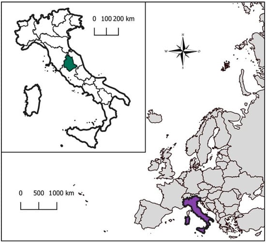 Detection of Hepatitis E Virus in Game Meat Wild Boar Supply  