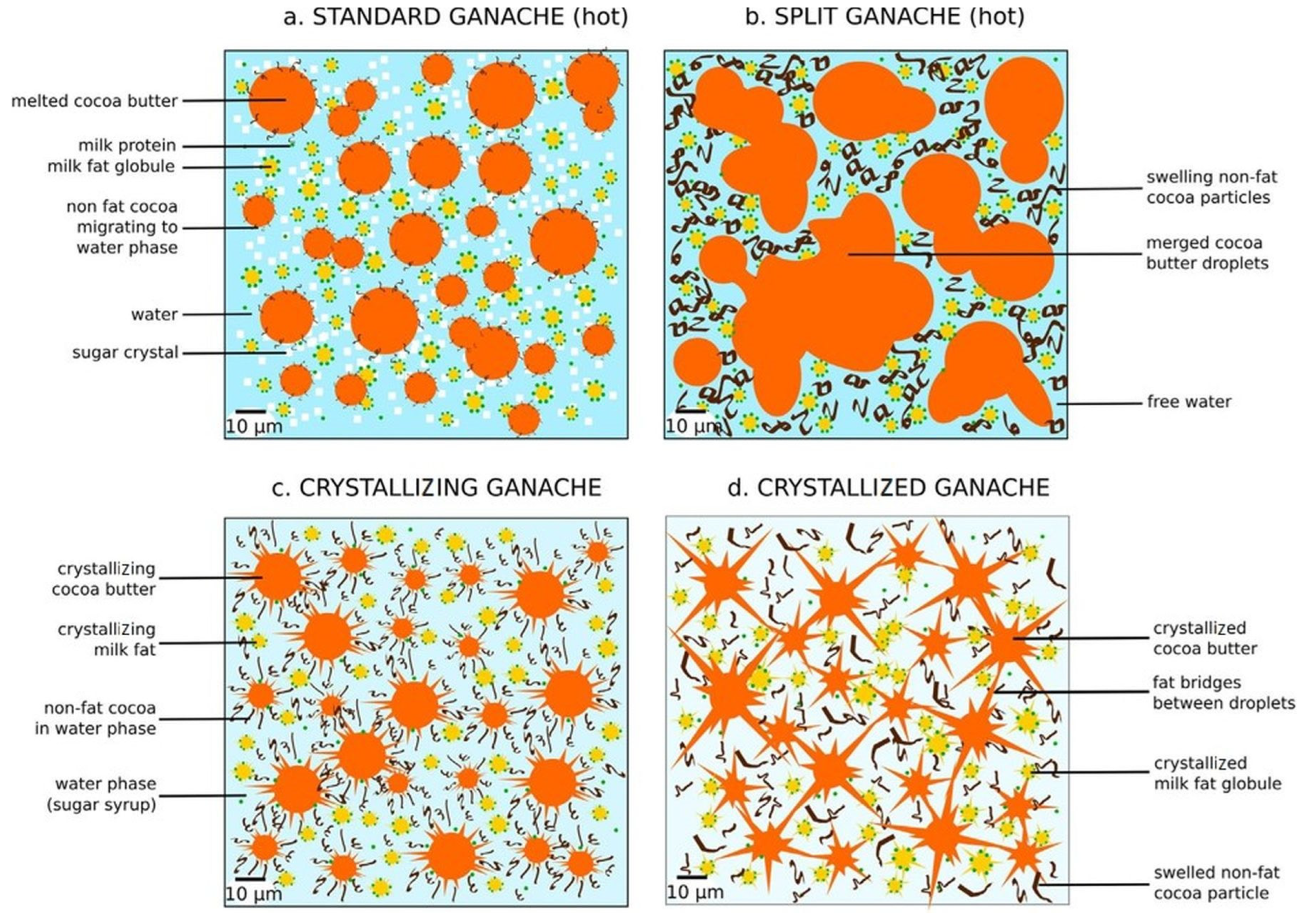 Foods 13 02543 g001 Foods 13 02543 g001