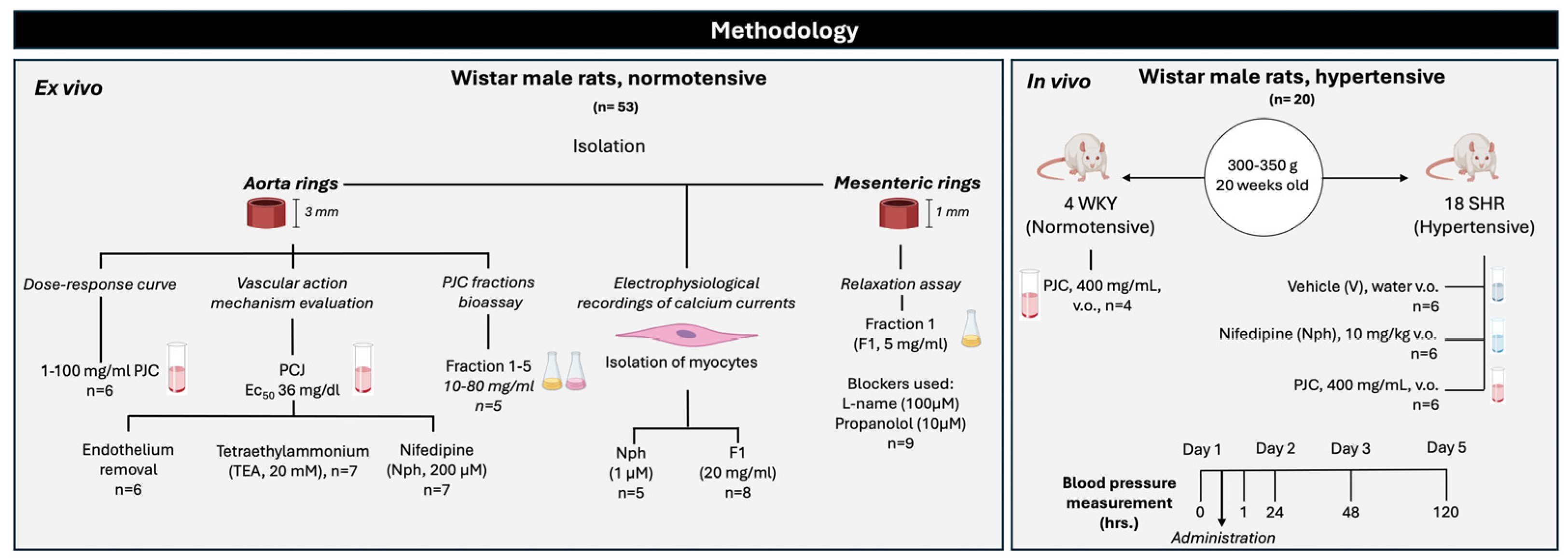 Foods 13 02631 sch001 Foods 13 02631 sch001