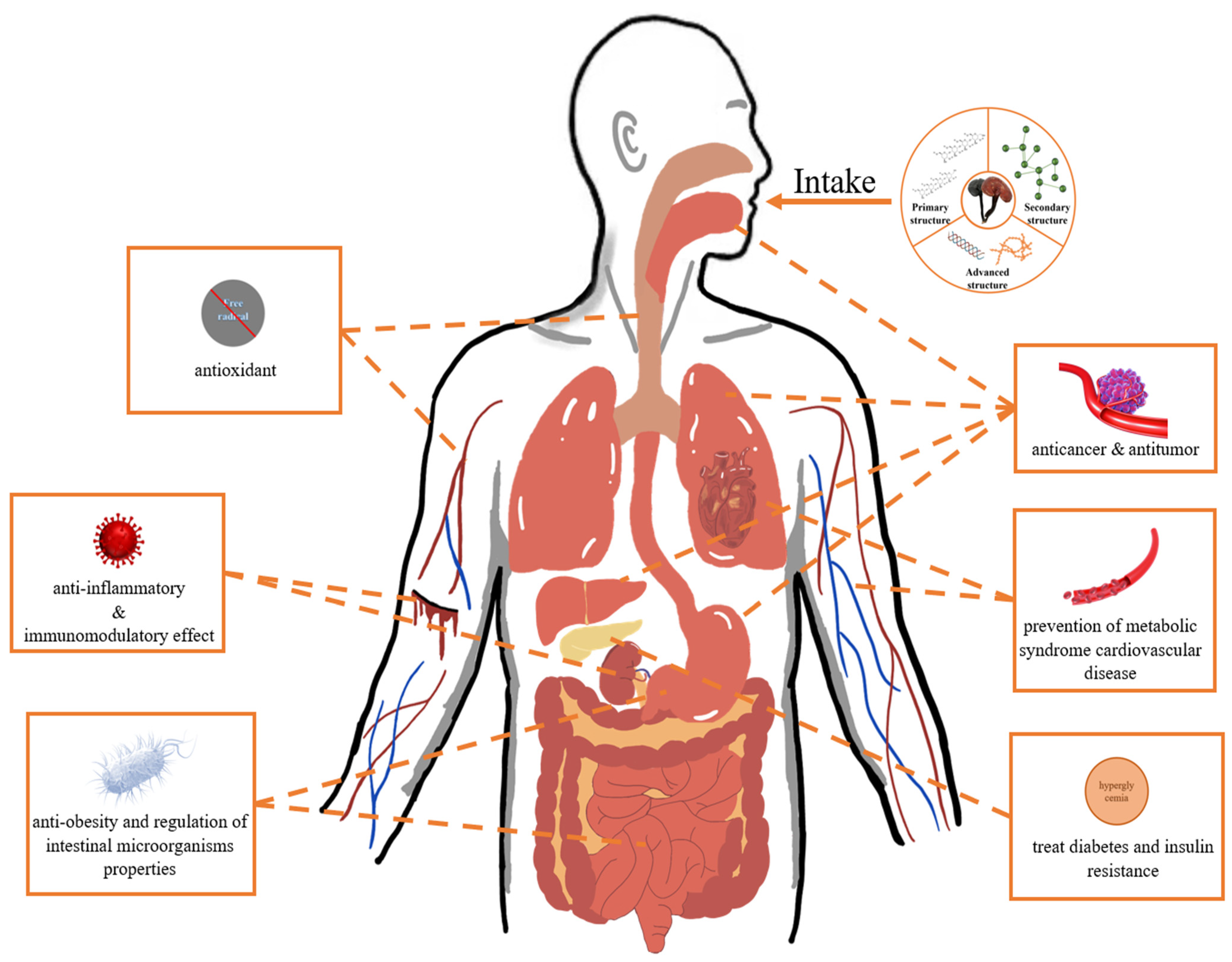 Foods 13 02665 g001 Foods 13 02665 g001