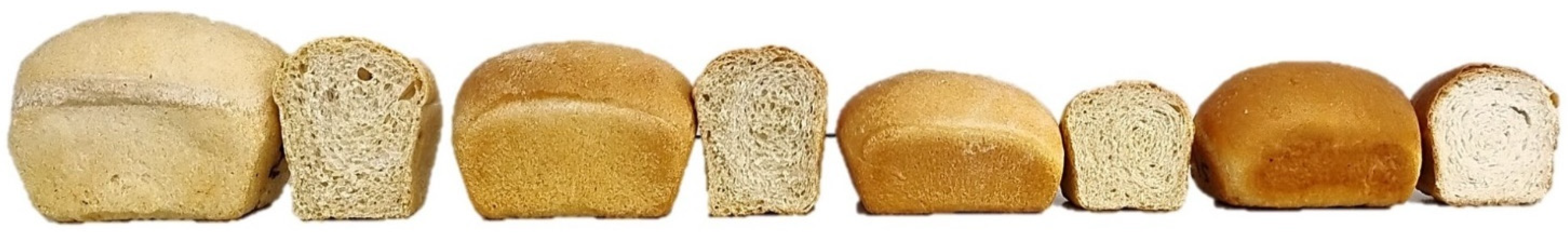 Foods 13 02711 g004 Foods 13 02711 g004