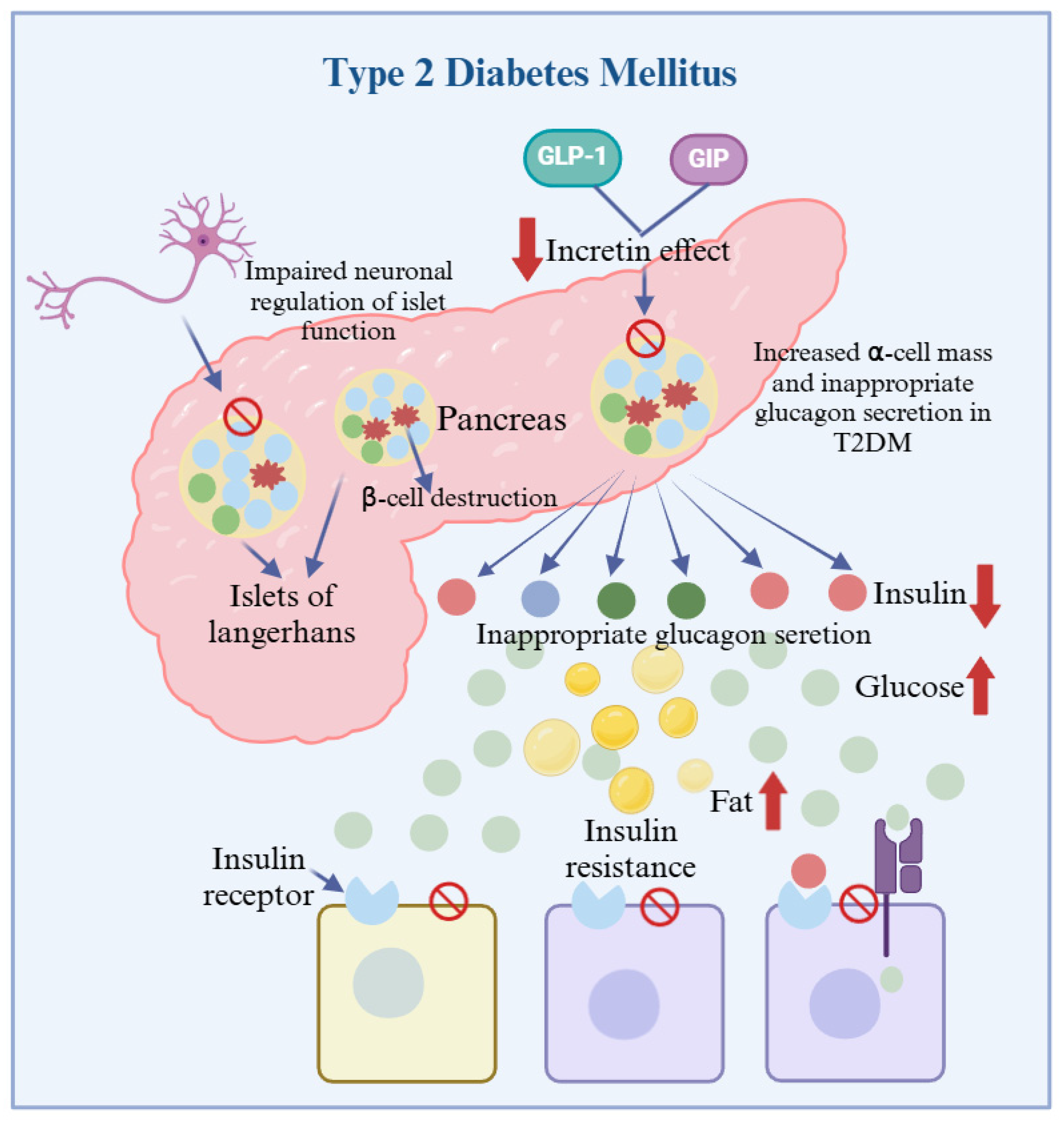 Foods 13 02719 g005 Foods 13 02719 g005