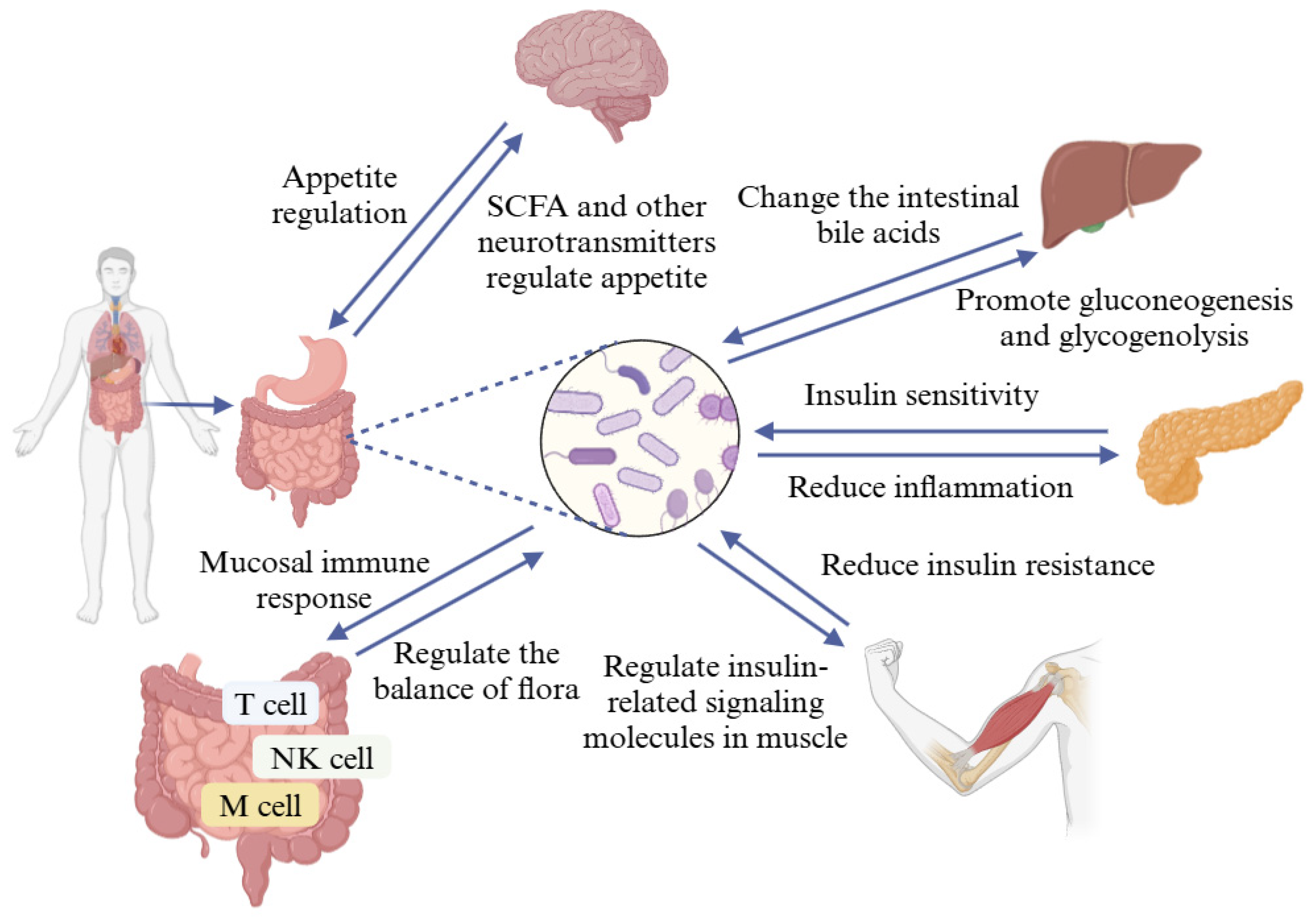 Foods 13 02719 g006 Foods 13 02719 g006