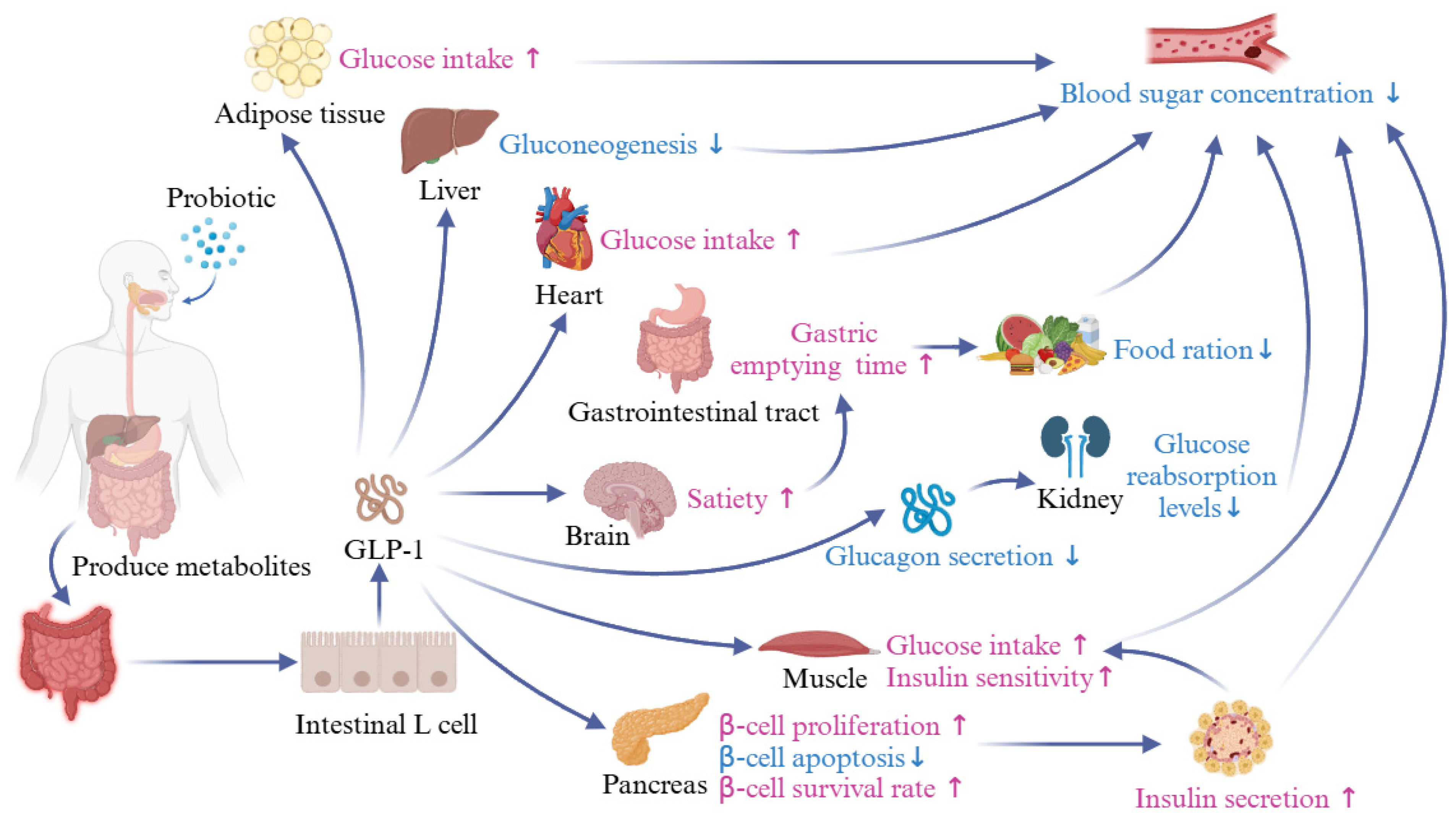 Foods 13 02719 g007 Foods 13 02719 g007