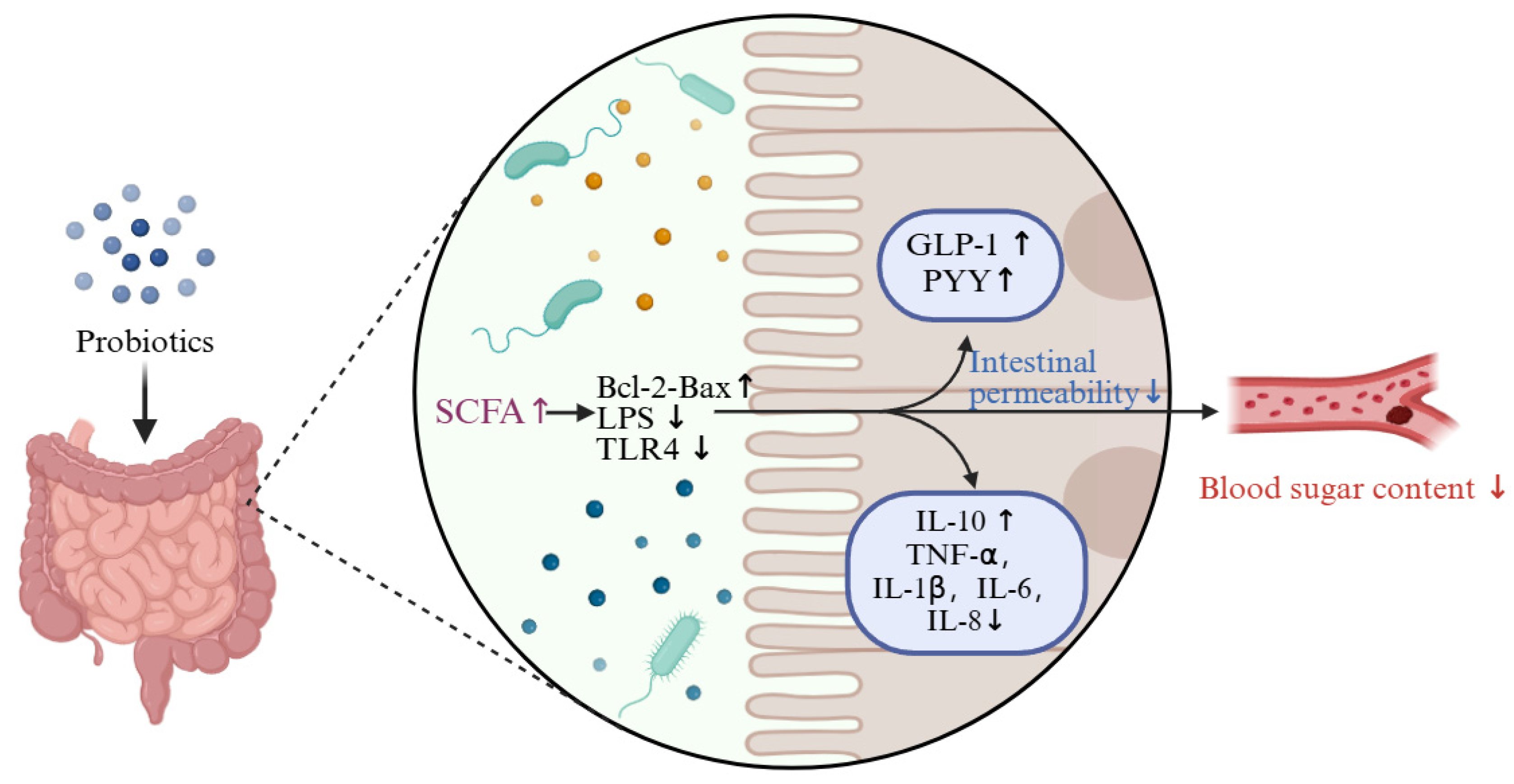 Foods 13 02719 g008 Foods 13 02719 g008